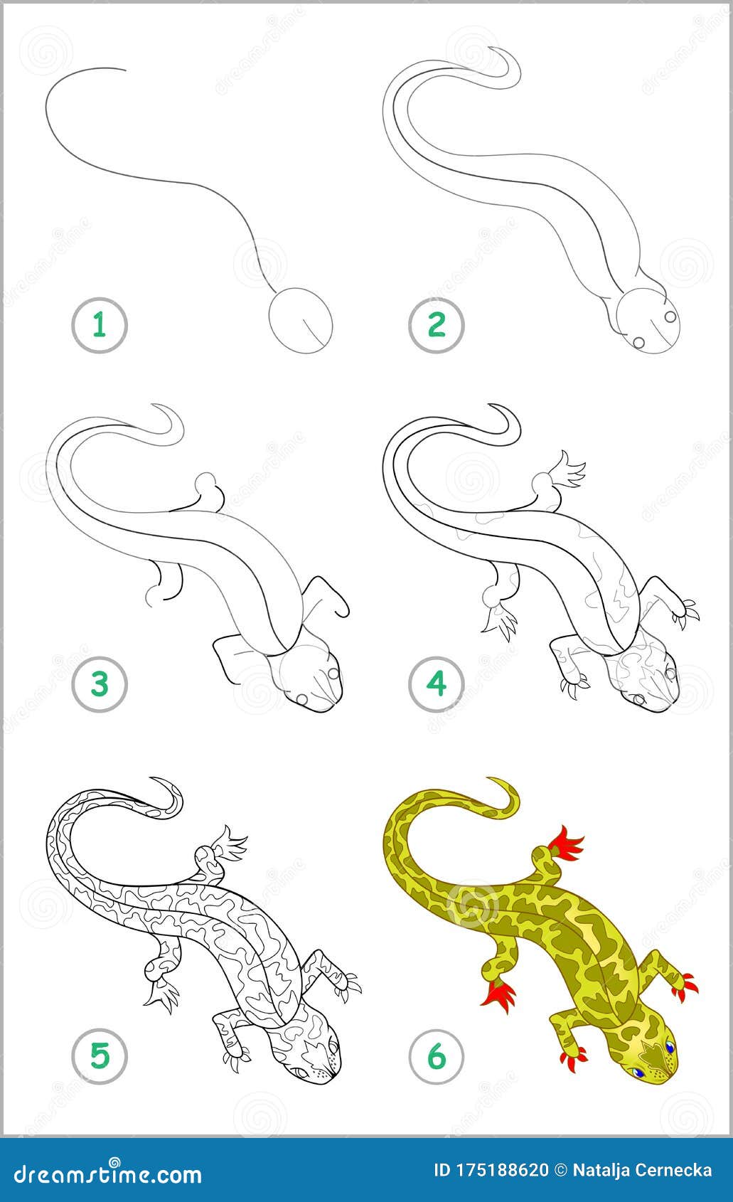 Lizard как нарисовать ребенку