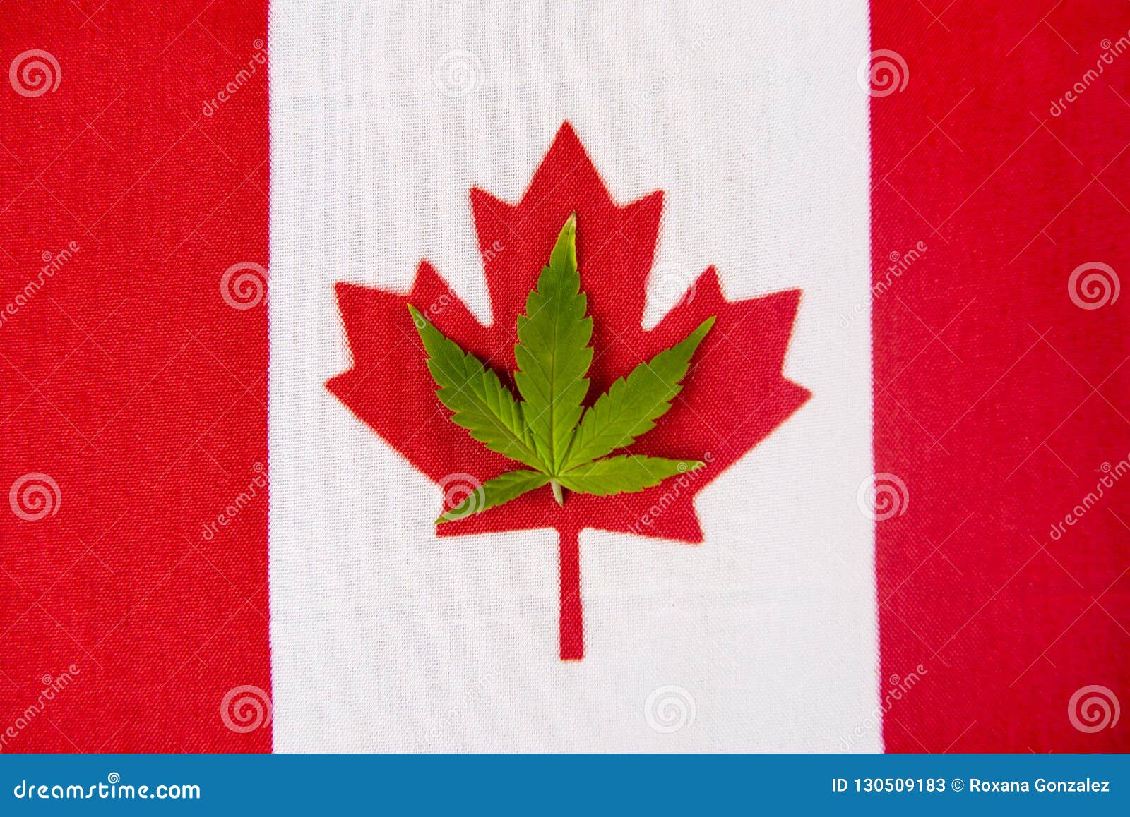 флаг канады с коноплей