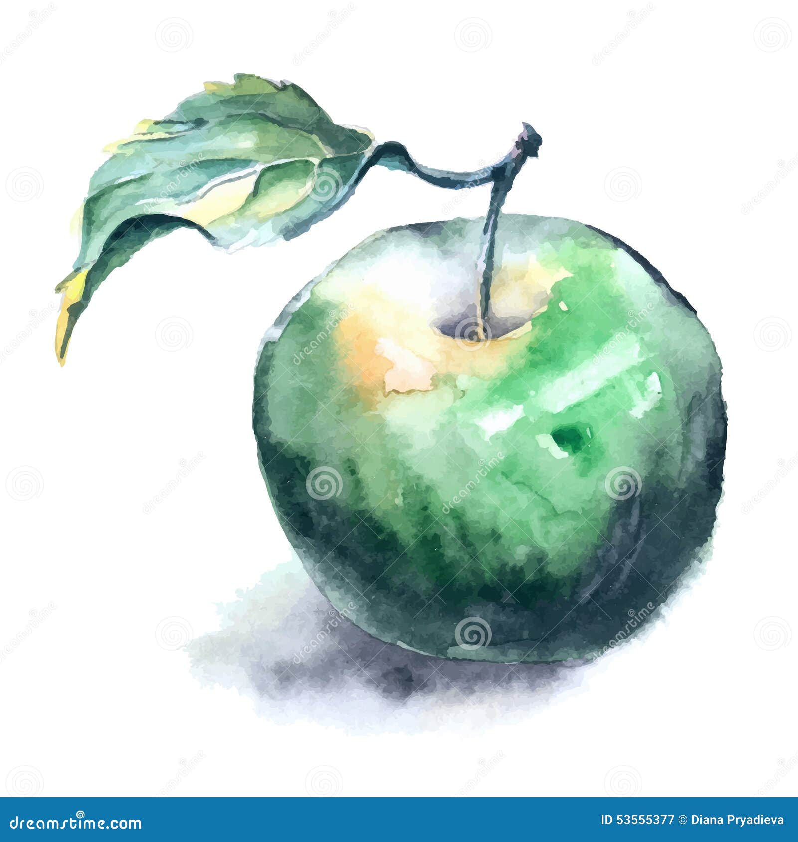 Зеленое яблоко акварелью