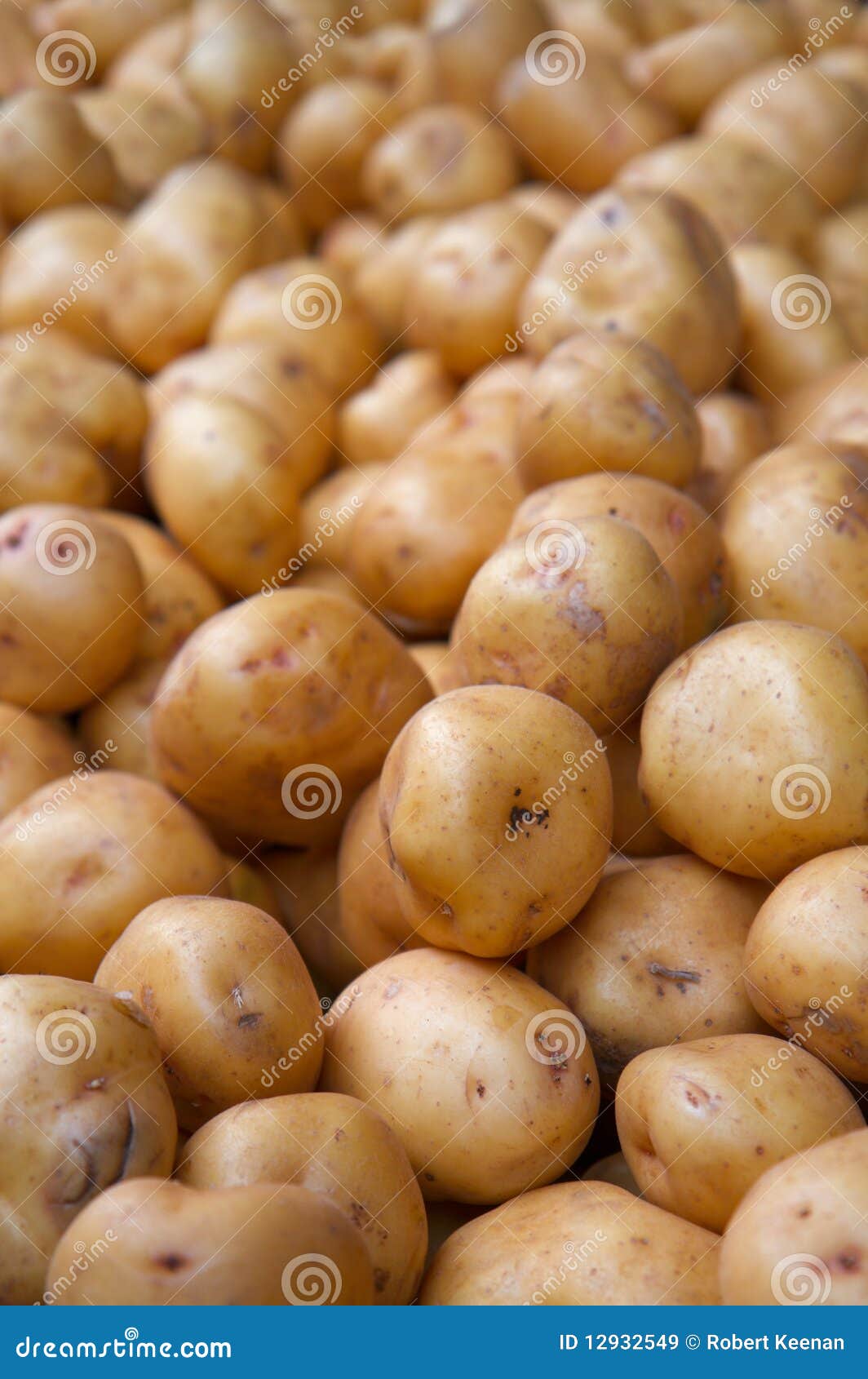 Белая картошка