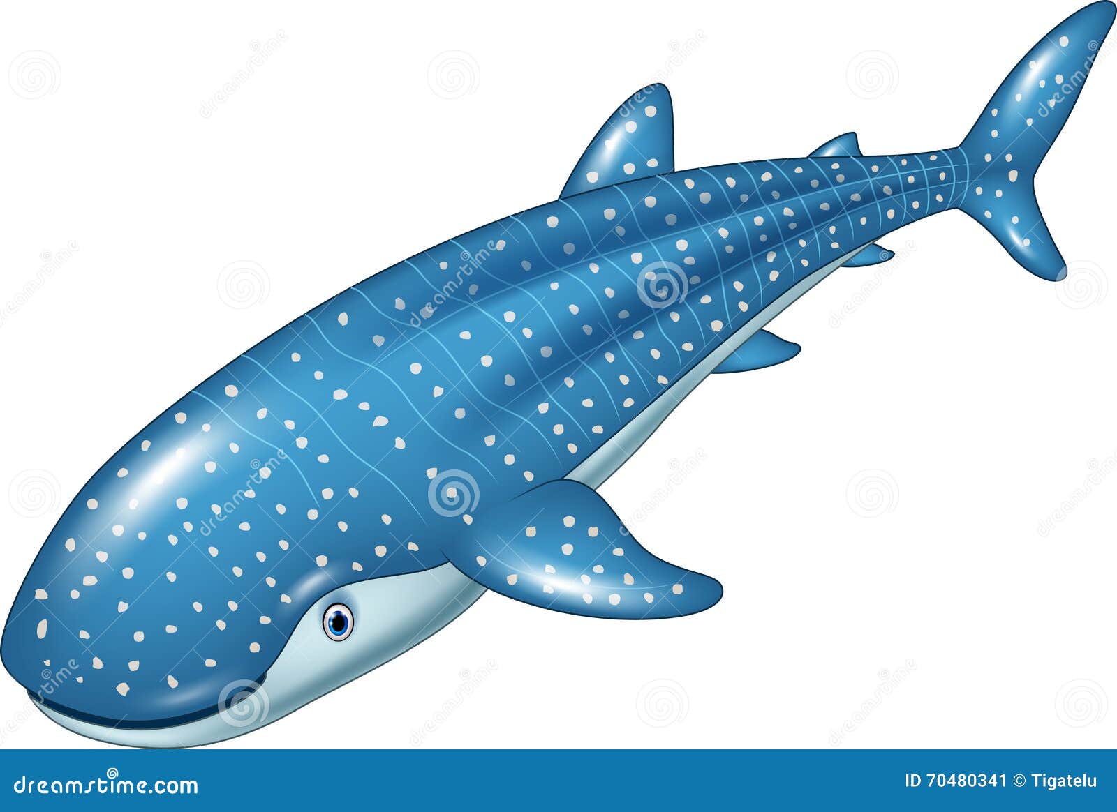Китовая акула рисунок для детей