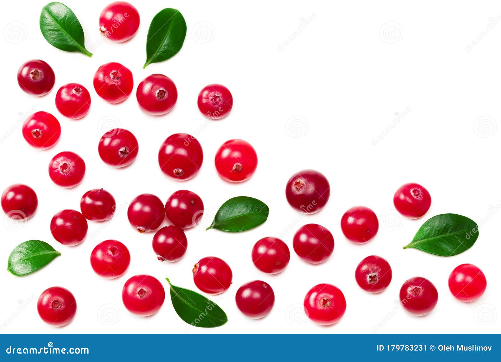 Клюква с зелеными листьями изолированными на белом фоне. Вид сверху ...
