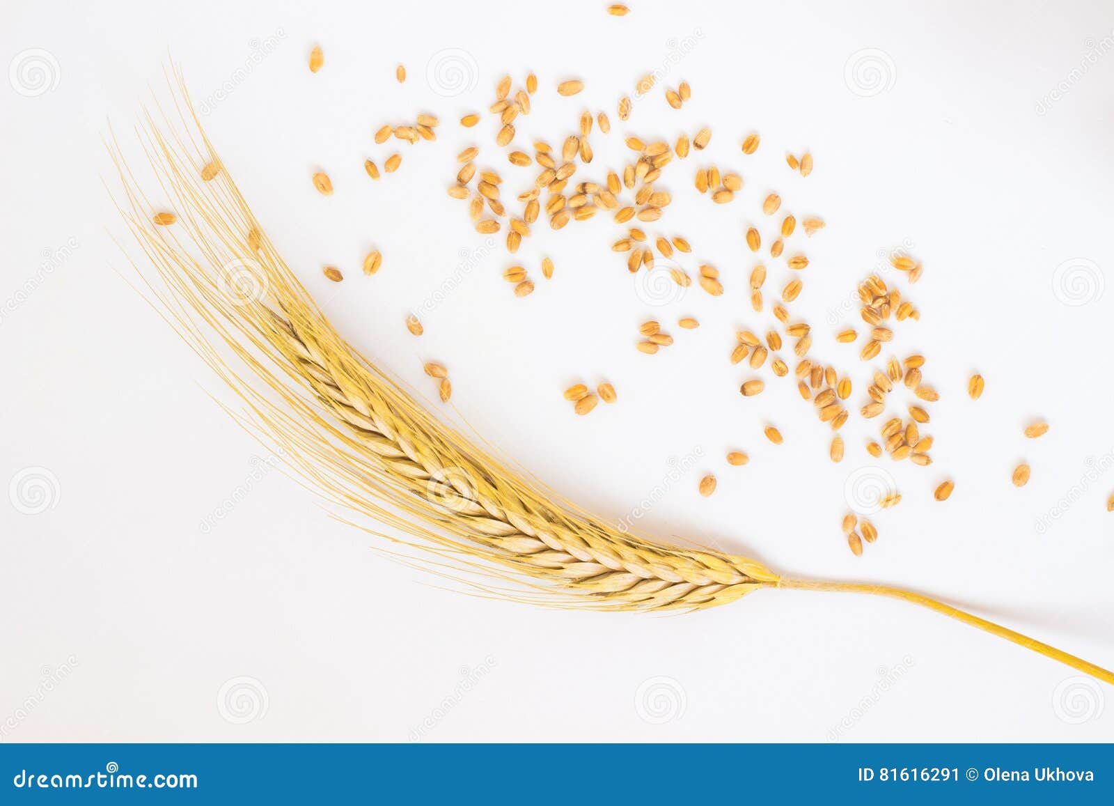 Пшеница рассыпана