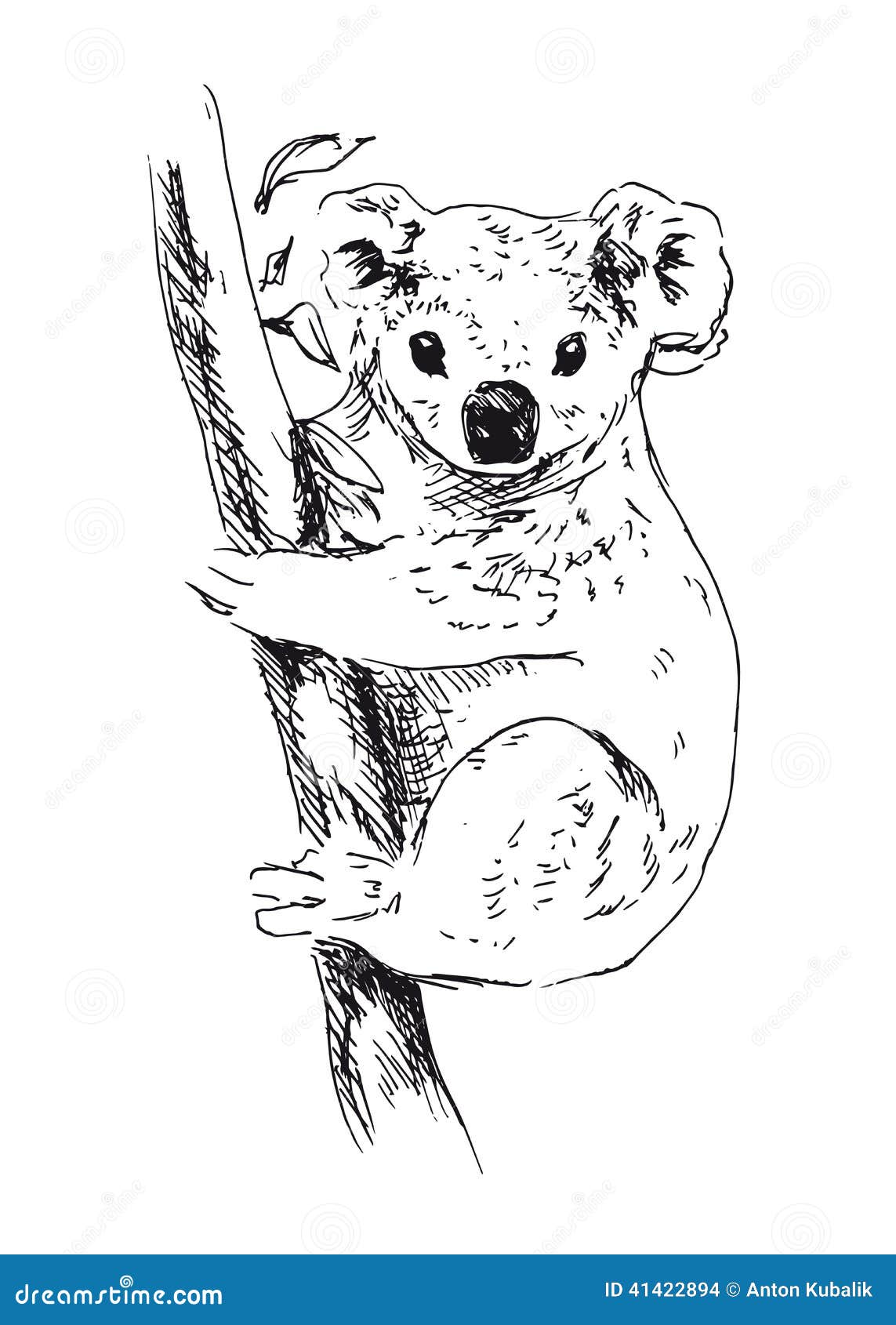 Рисунки в виде животных коала