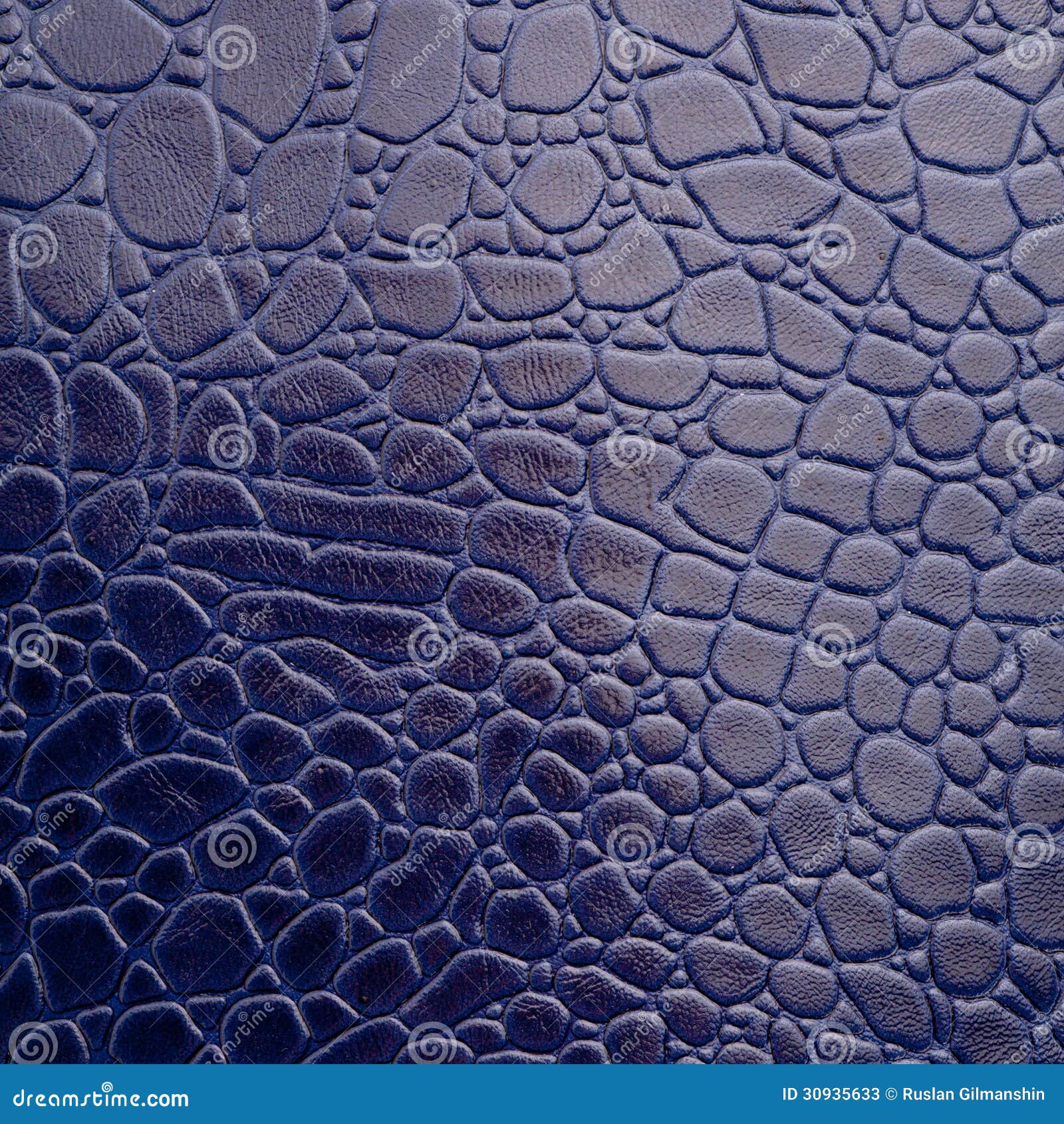 Кожа крокодила стоковое изображение. изображение насчитывающей темно ...