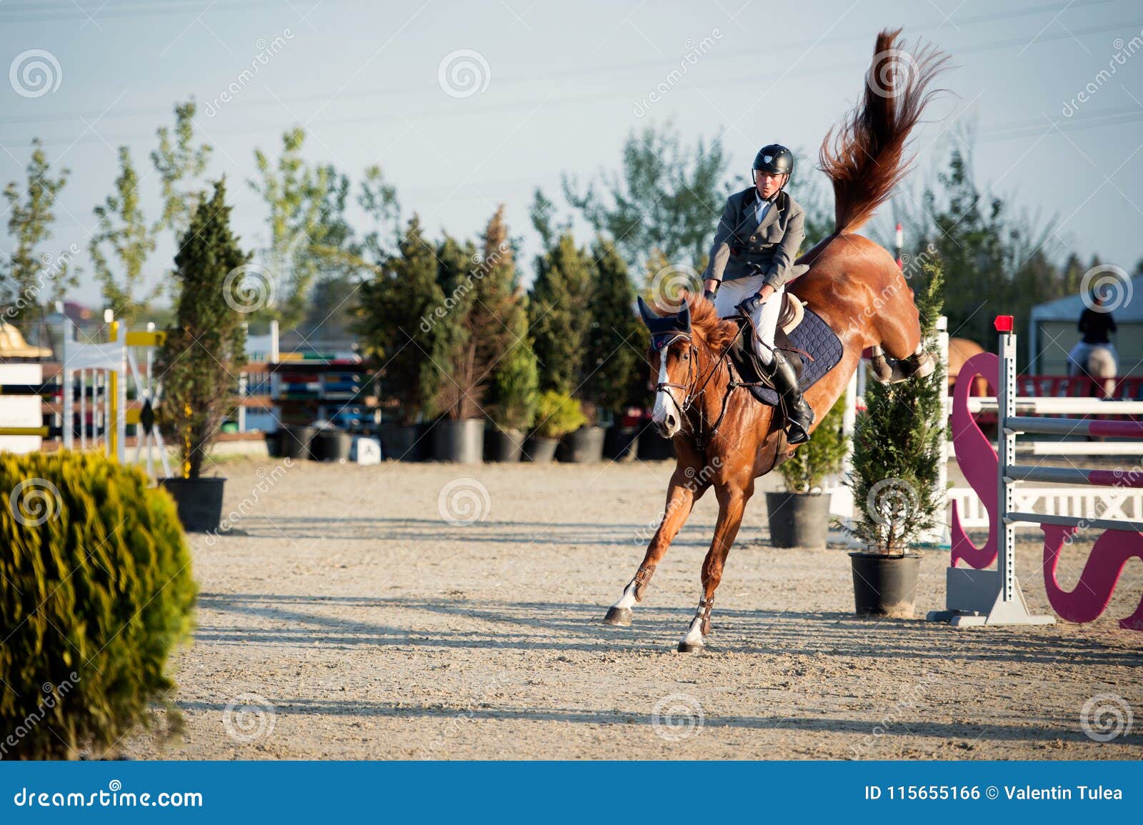 Конноспортивный скакать всадника лошади Изобразите показывать ...