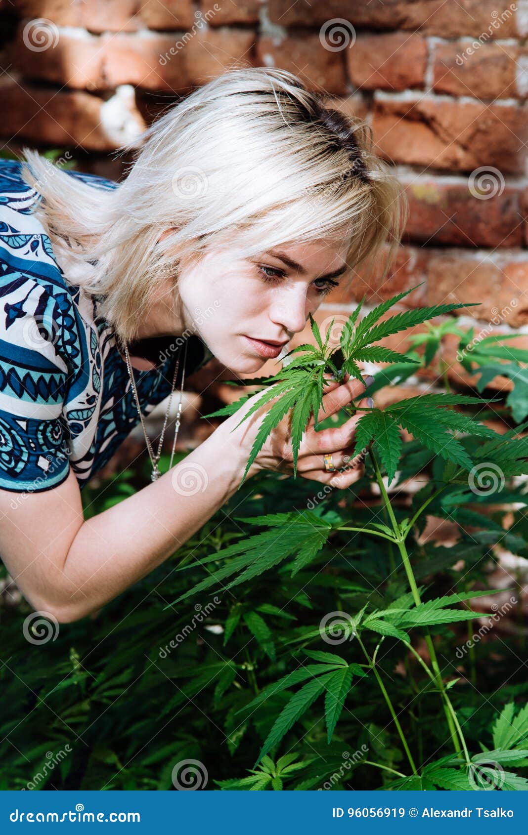 Фото девушка и конопля народная лечение от марихуаны