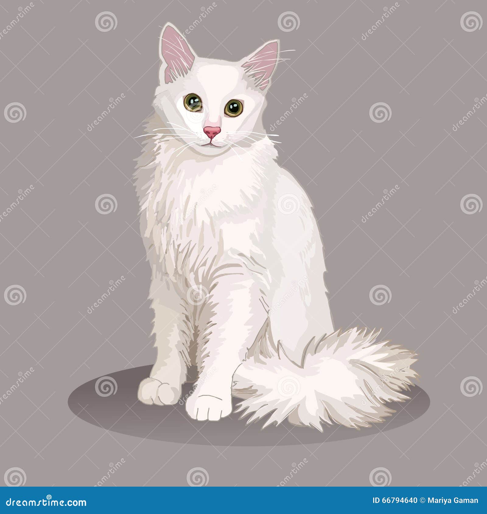 Ангорский кот арт