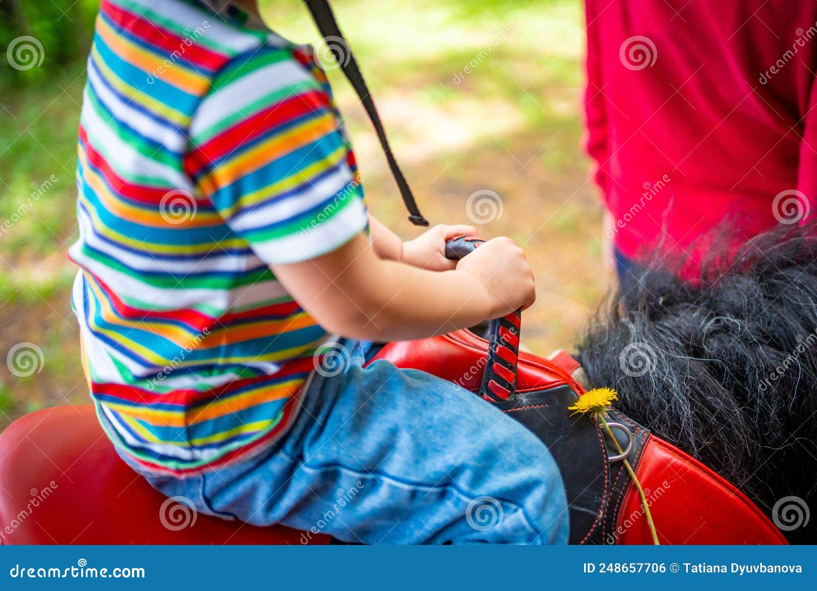 Красивая девочка, катающаяся на лошади пони, держится за руки Стоковое ...