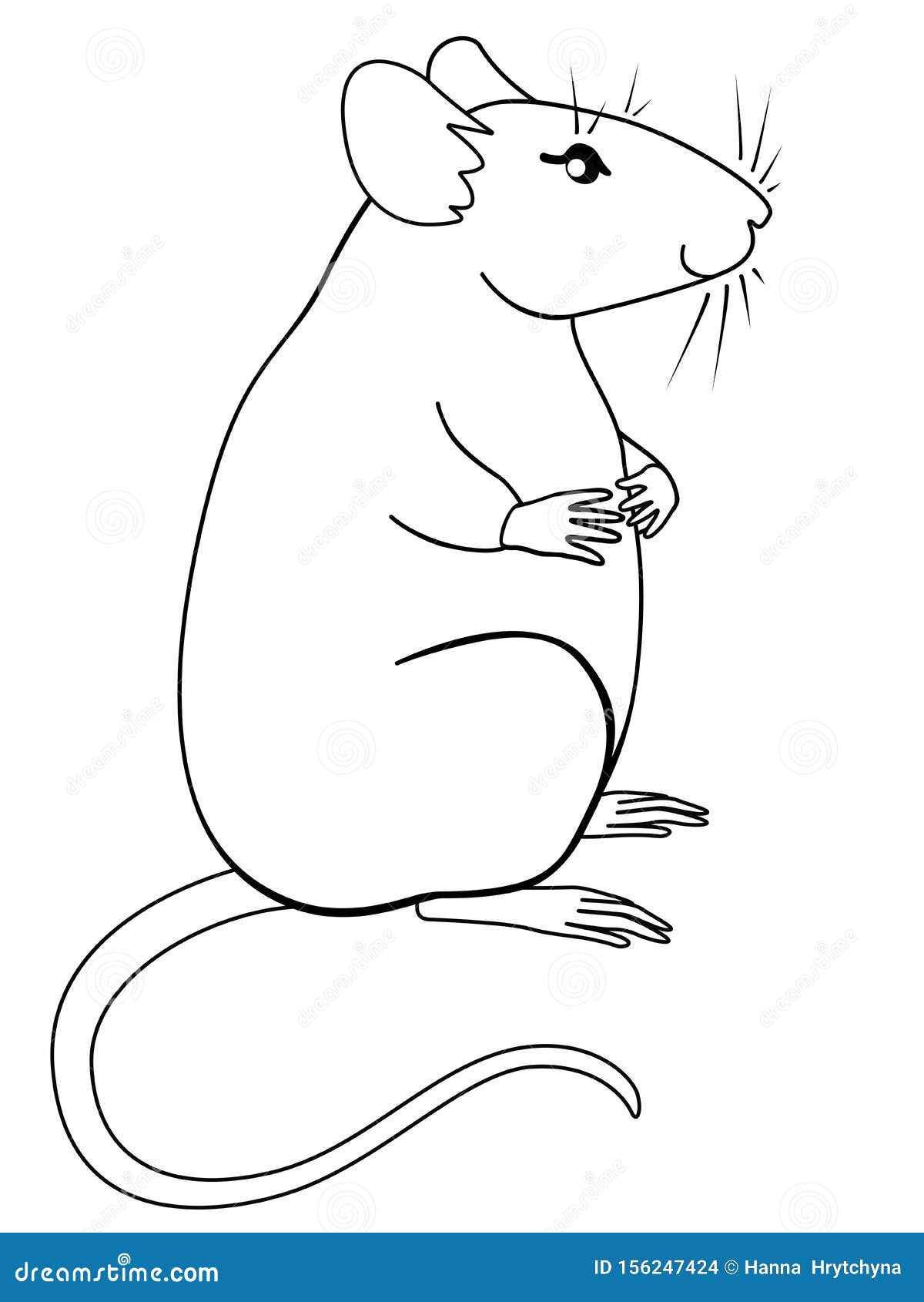Крыска сидит рисунок
