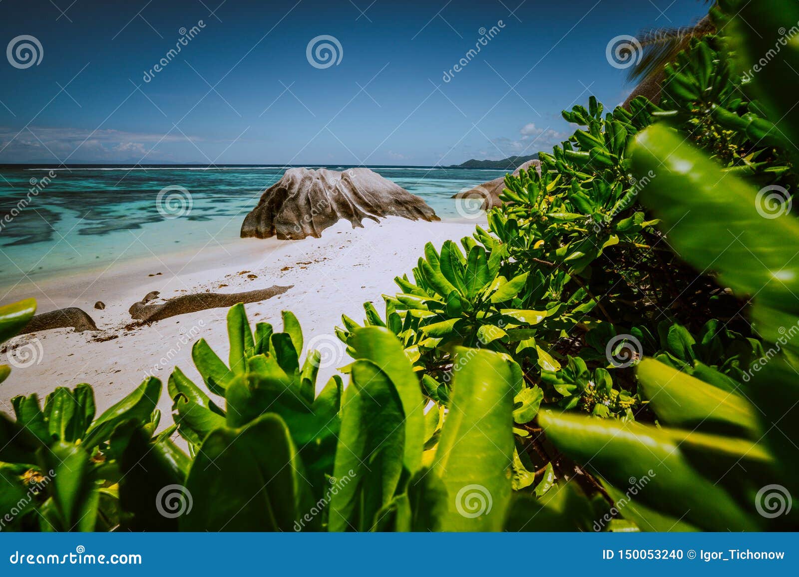Красиво сформировал валун гранита обрамленный с зелеными листьями на Anse пляж источника d „Argent, остров Digue Ла, Сейшельские островы