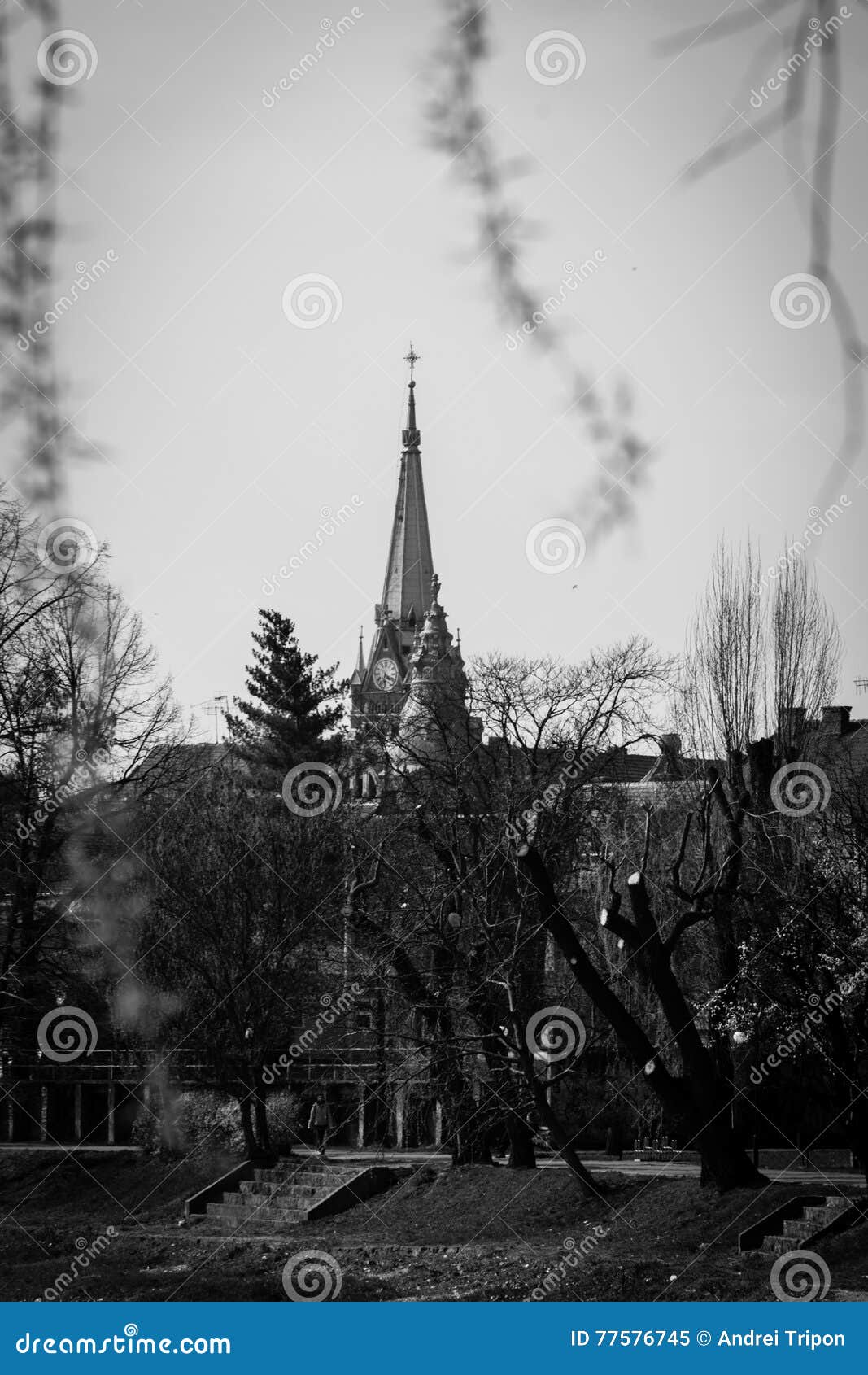 Красная церковь в Arad, Румынии в черно-белом. Фото принятое от парка за церковью