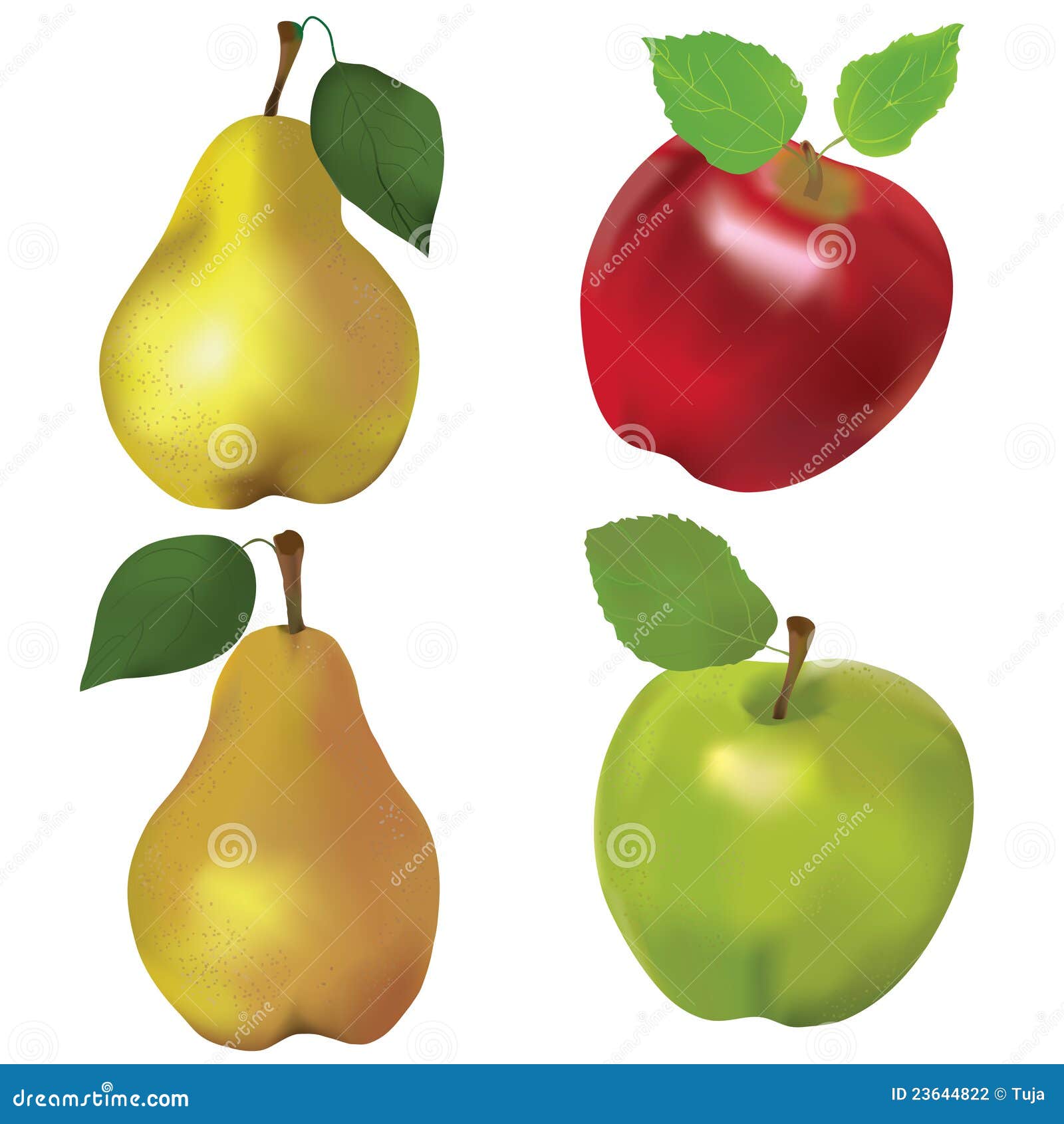 Цветные груши яблоки