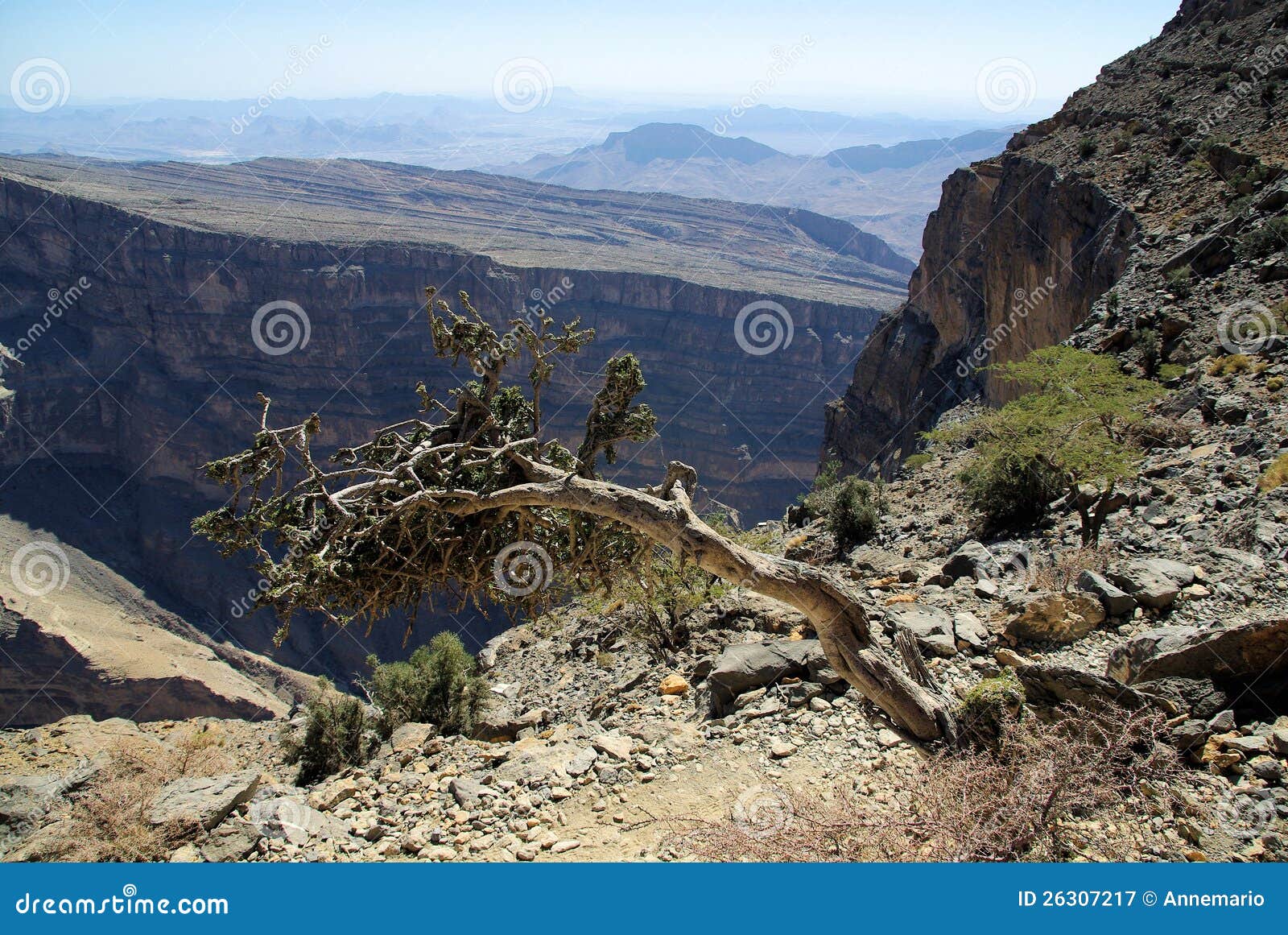 Ландшафт Омана. Типичный Omani ландшафт над каньоном