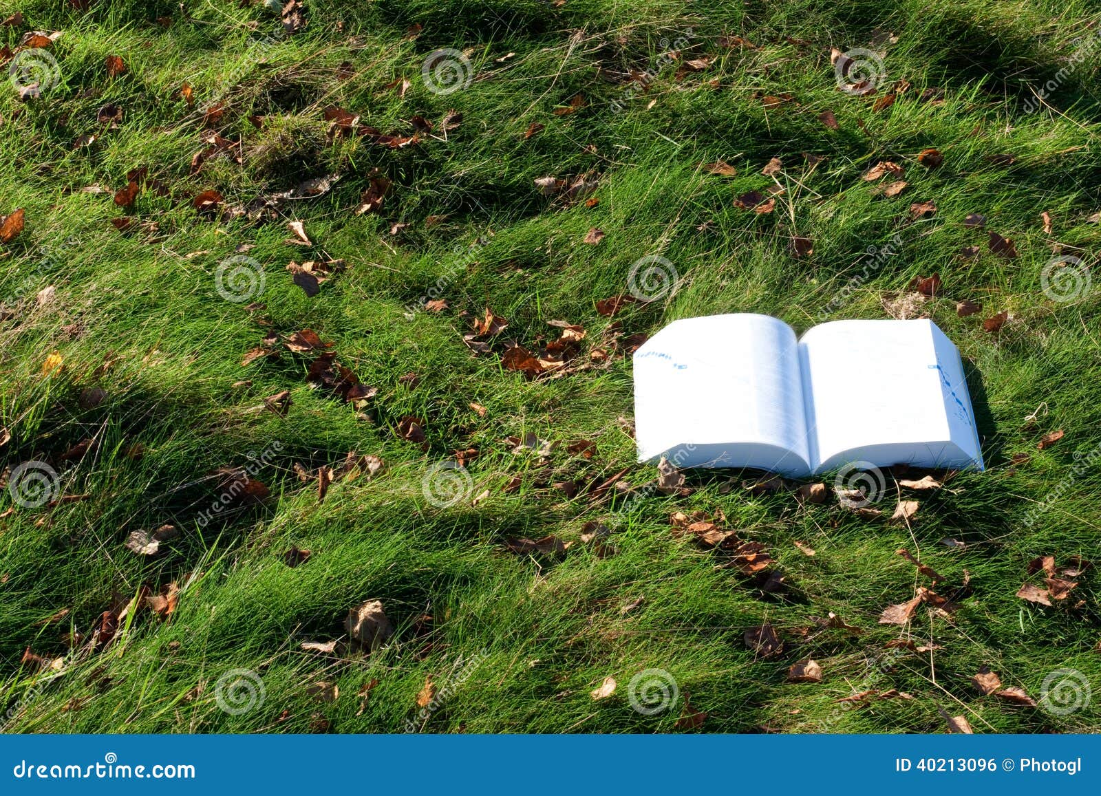Лежать книги открытый на траве Стоковое Фото - изображение ...
