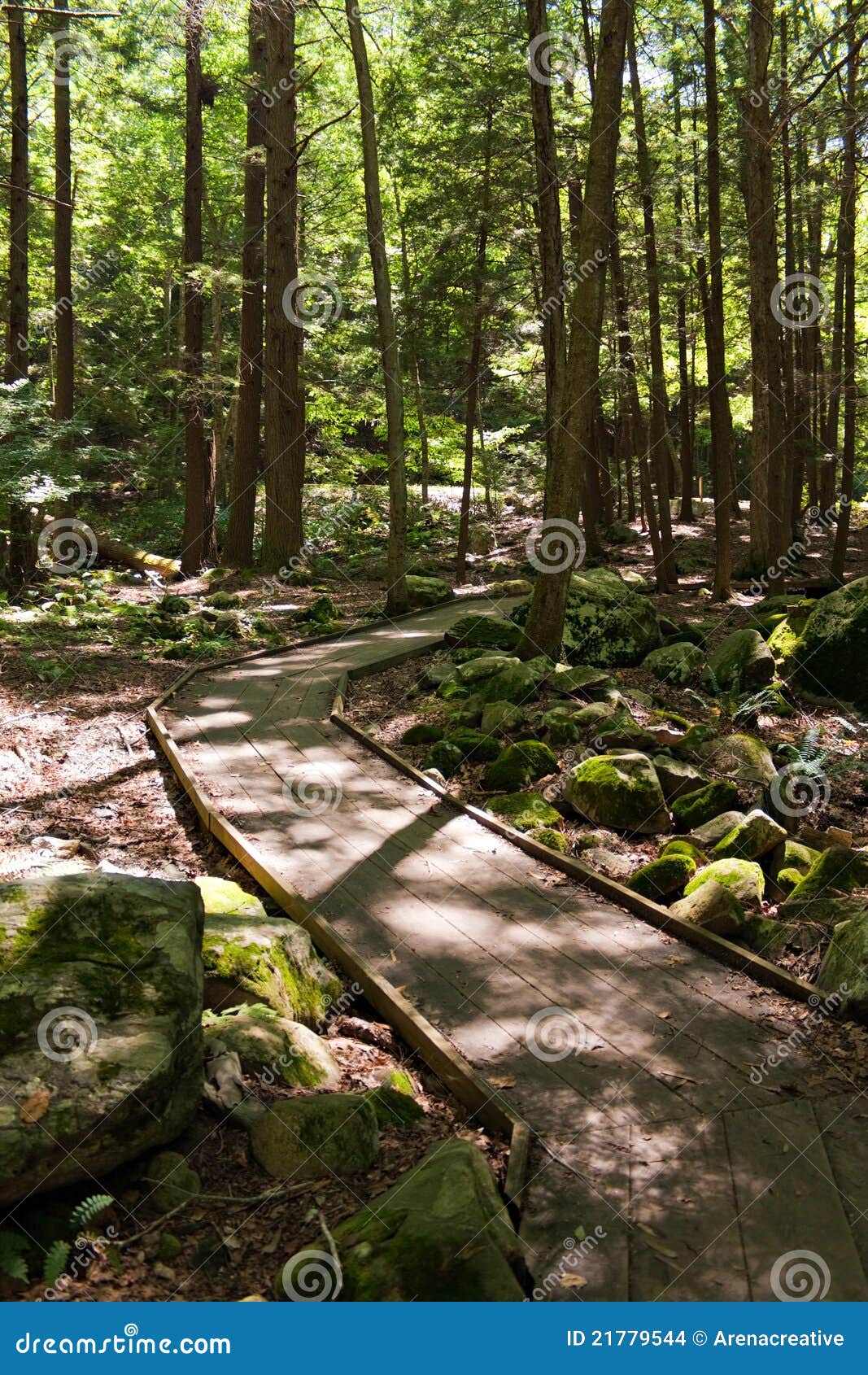 Лесистый гуляя путь. Путь общины гуляя который идет через древесины в парке штата Southbury Коннектикут Соединенных Штатах Kettletown.