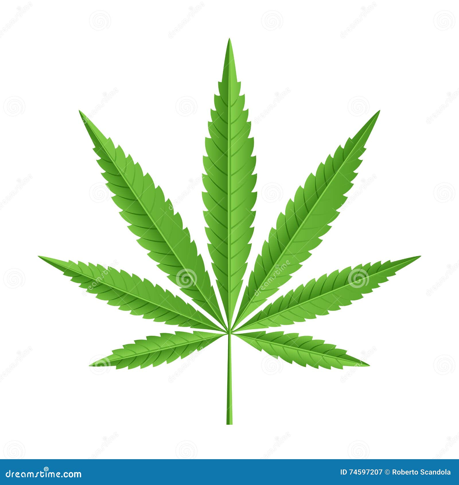 Схема листьев марихуаны агрономов семена
