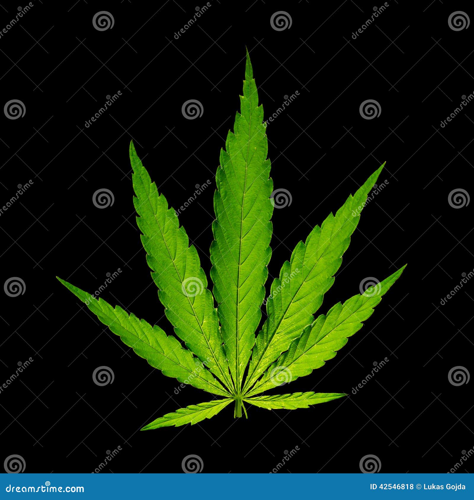 лист марихуаны картинки