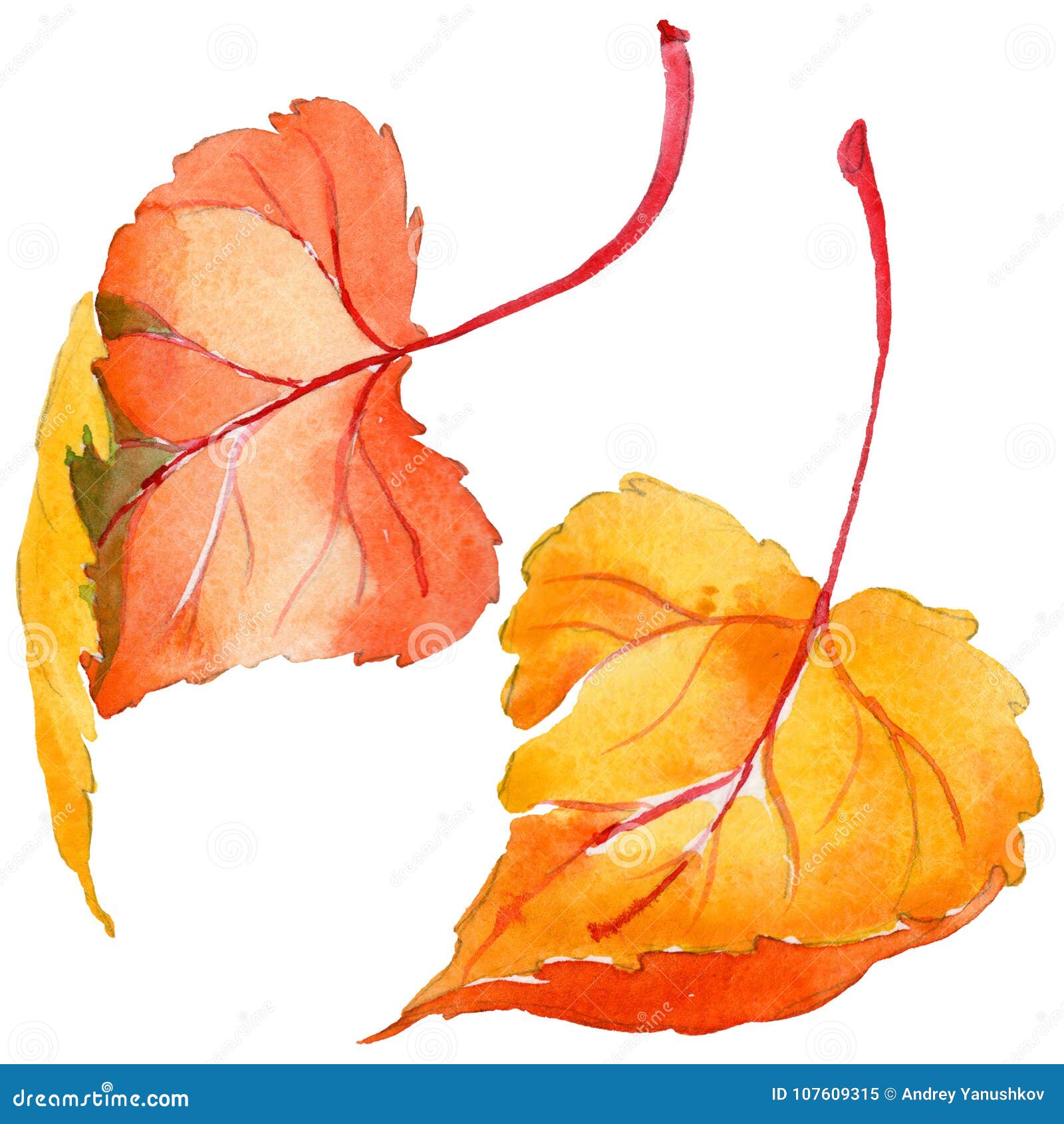 Листья акварелью осенние с тенью