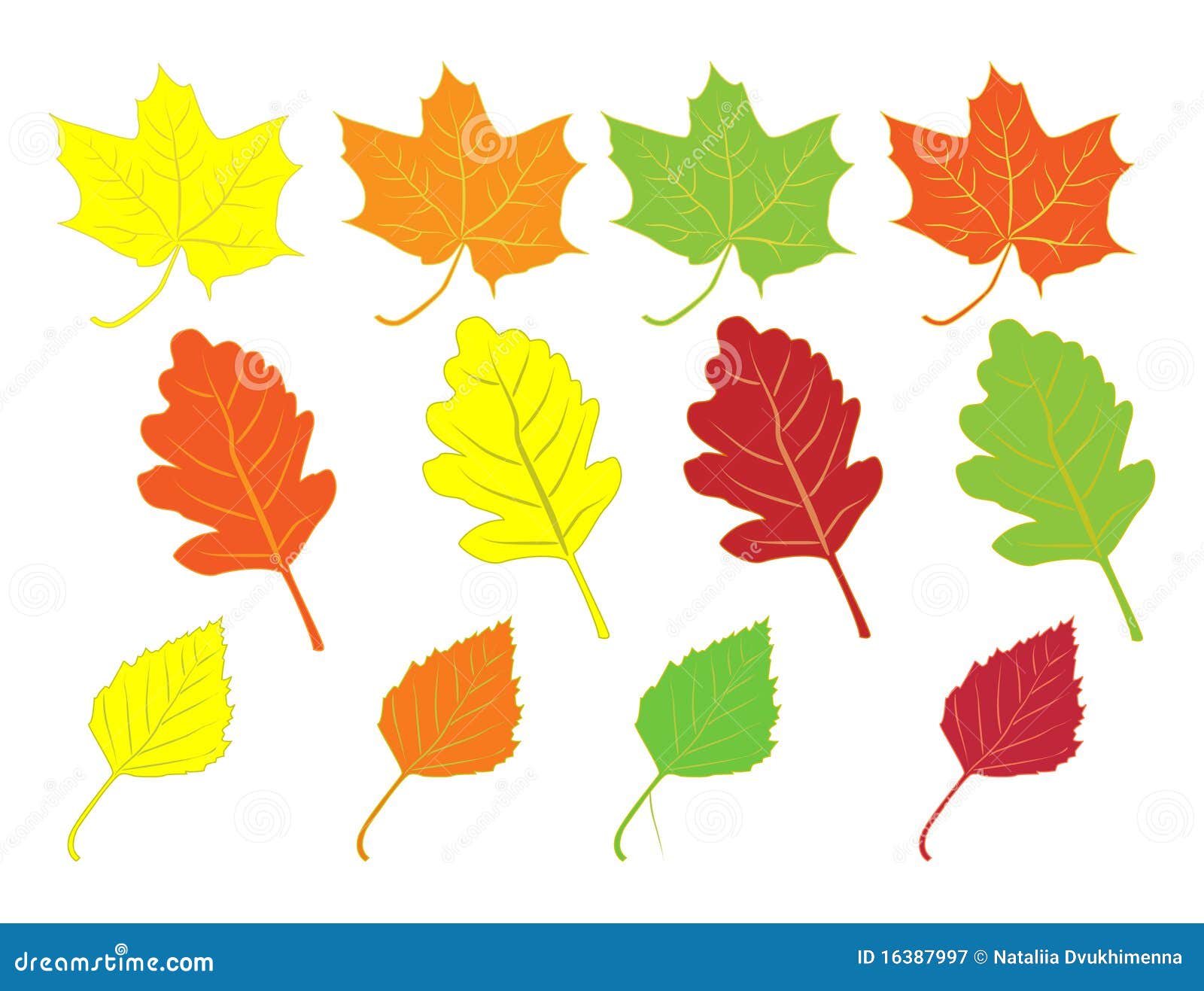Листья разного цвета для детей