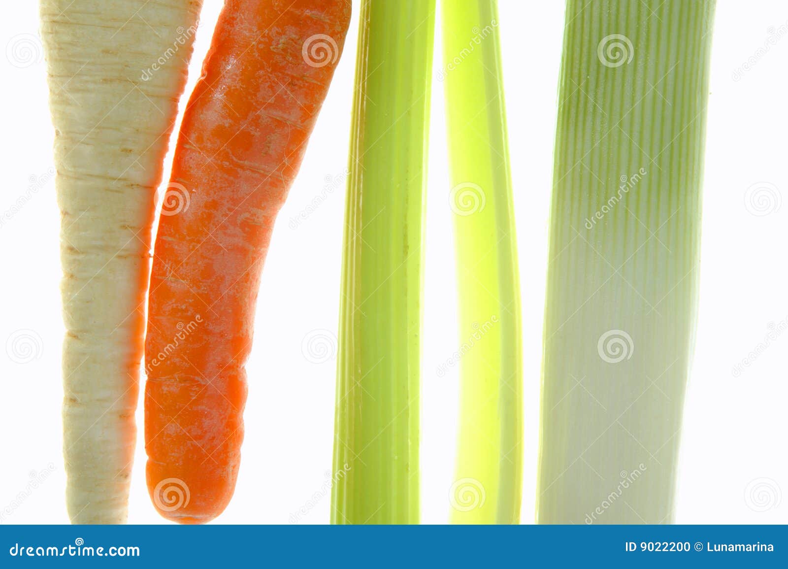 лук-порей сельдерея моркови над прозрачной белизной. лук-порей сельдерея моркови предпосылки над белизной студии прозрачной