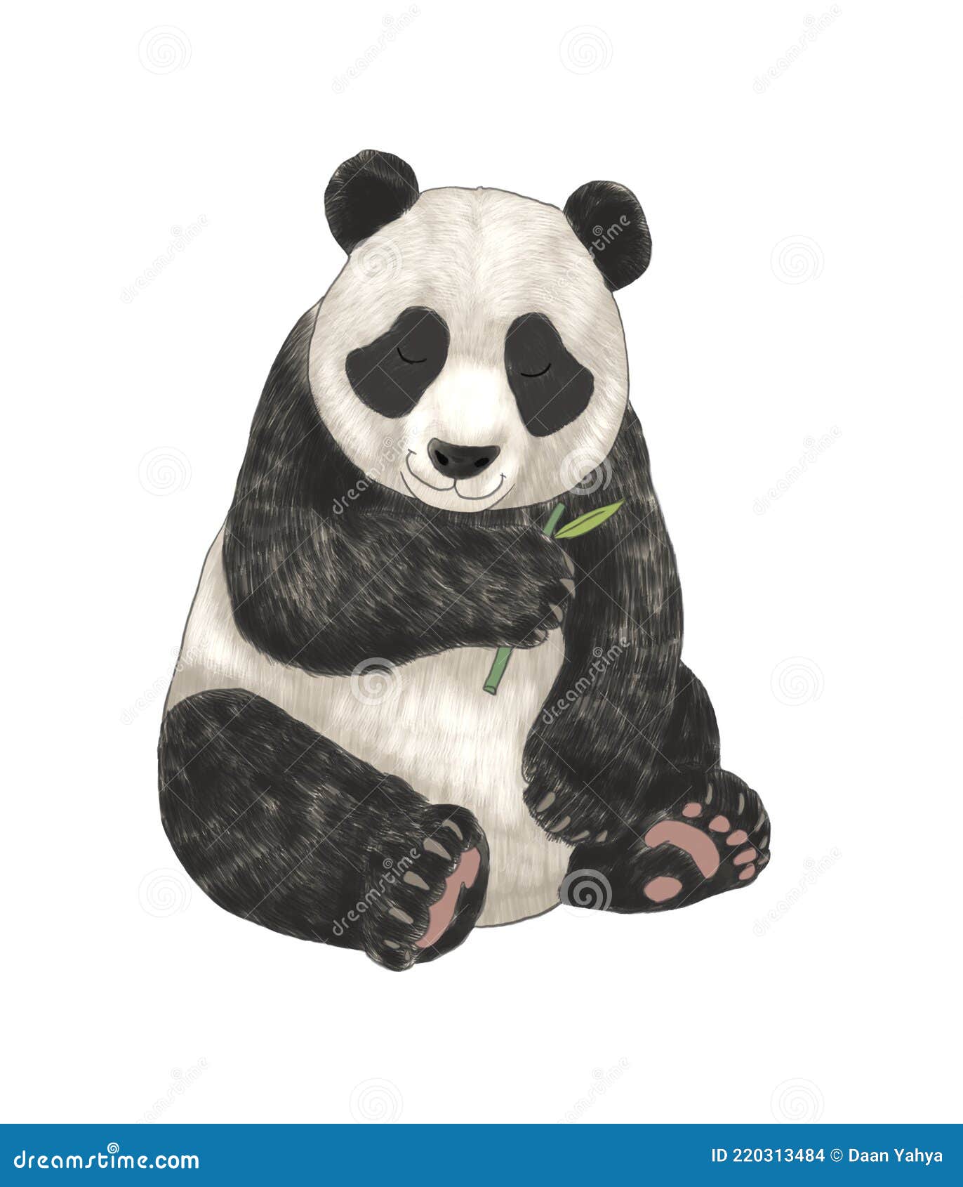 Панда рисунок карандашом для срисовки - 40 фото