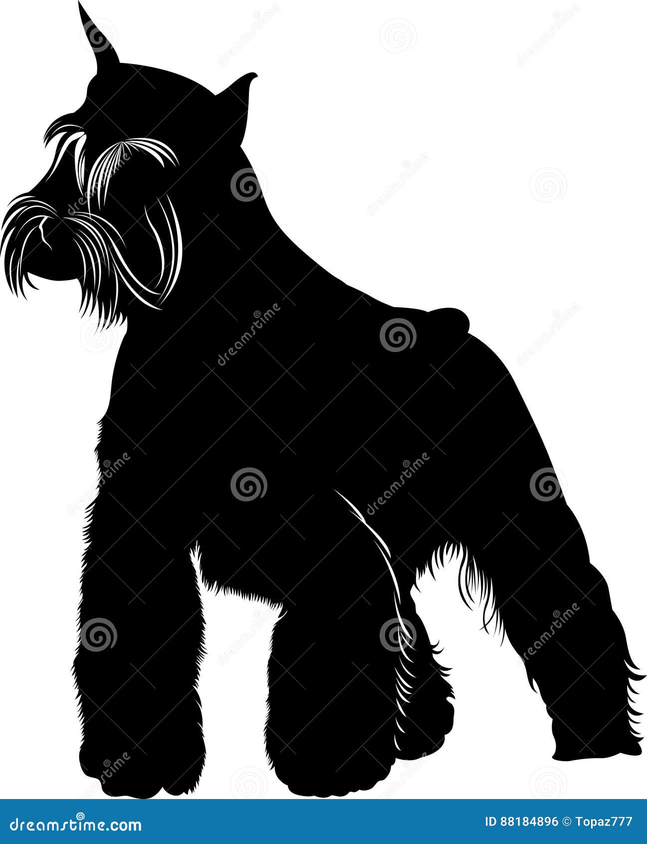 Мини шнауцер Собака миниатюрного шнауцера Иллюстрация вектора ...