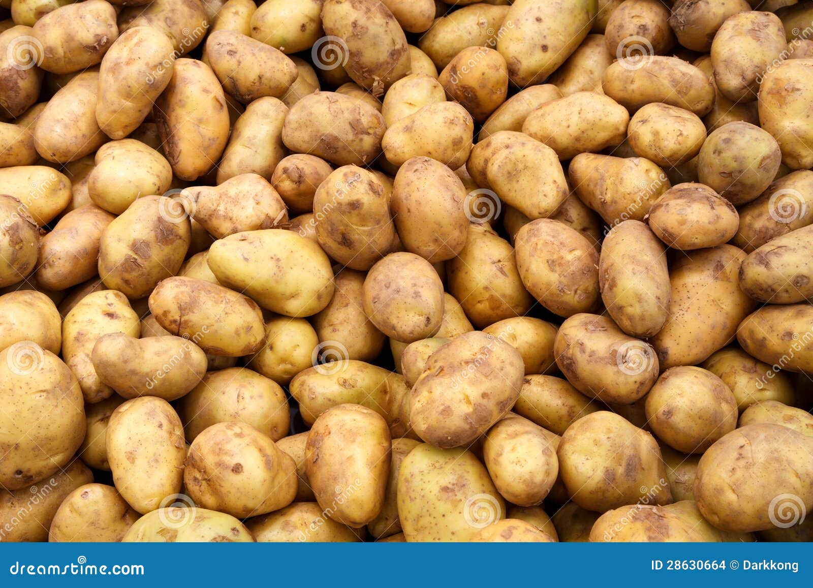 A lot of Potatoes