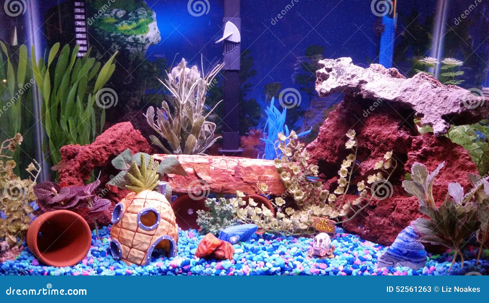 Можете вы найти рыбы в садке для рыбы Стоковое Изображение ...