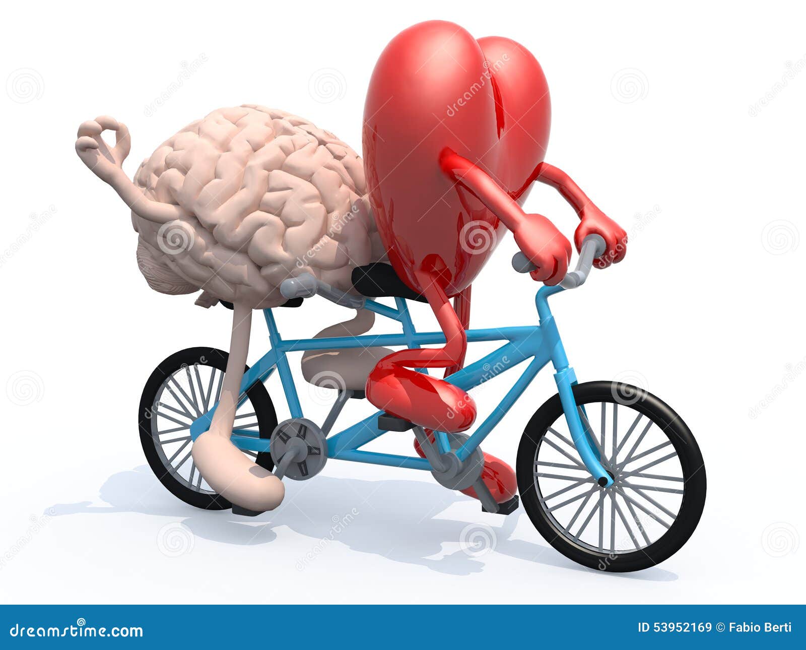 Мозг и сердце ехать тандемный велосипед Иллюстрация штока - иллюстрации ...