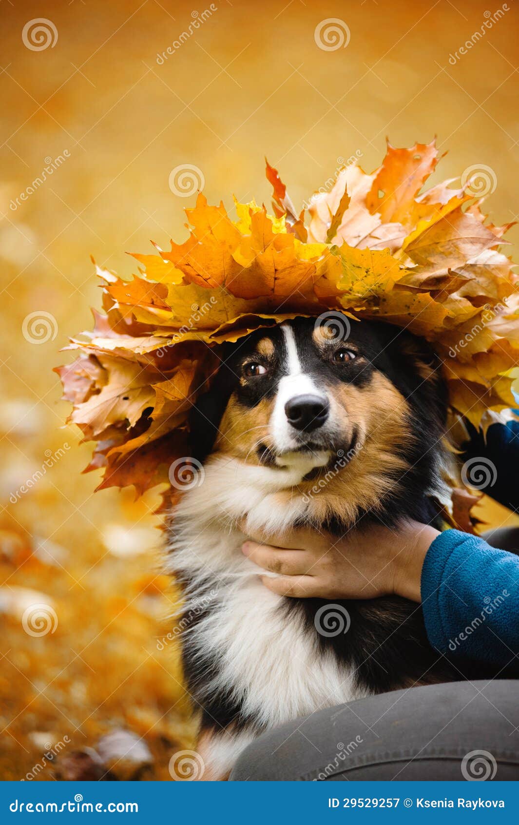 Собака в венке из листьев