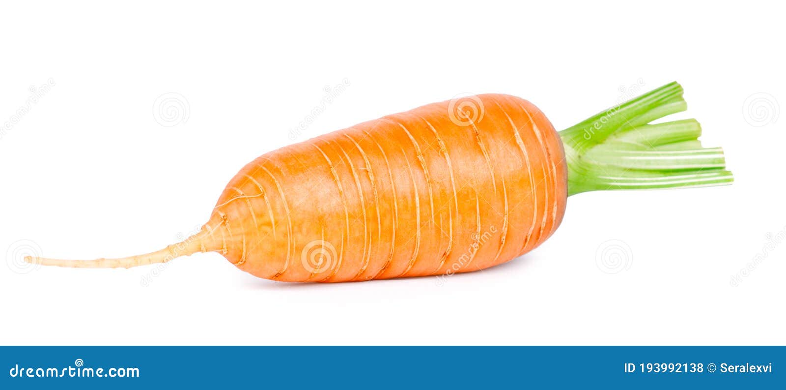 Фото Овощи Морковь — New-Freepik.Ru