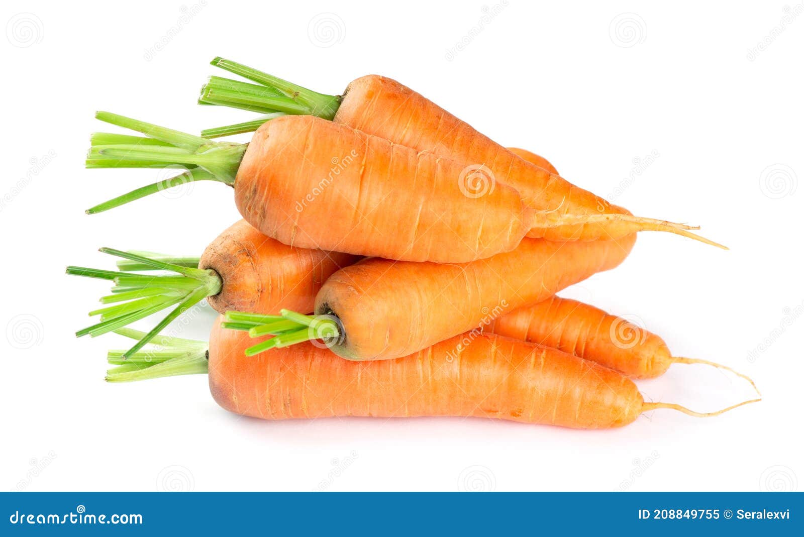 Фото Овощи Морковь — New-Freepik.Ru