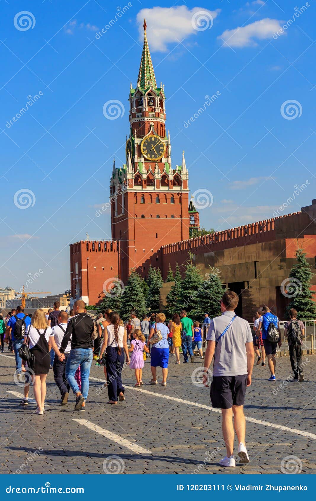 площадь лица на