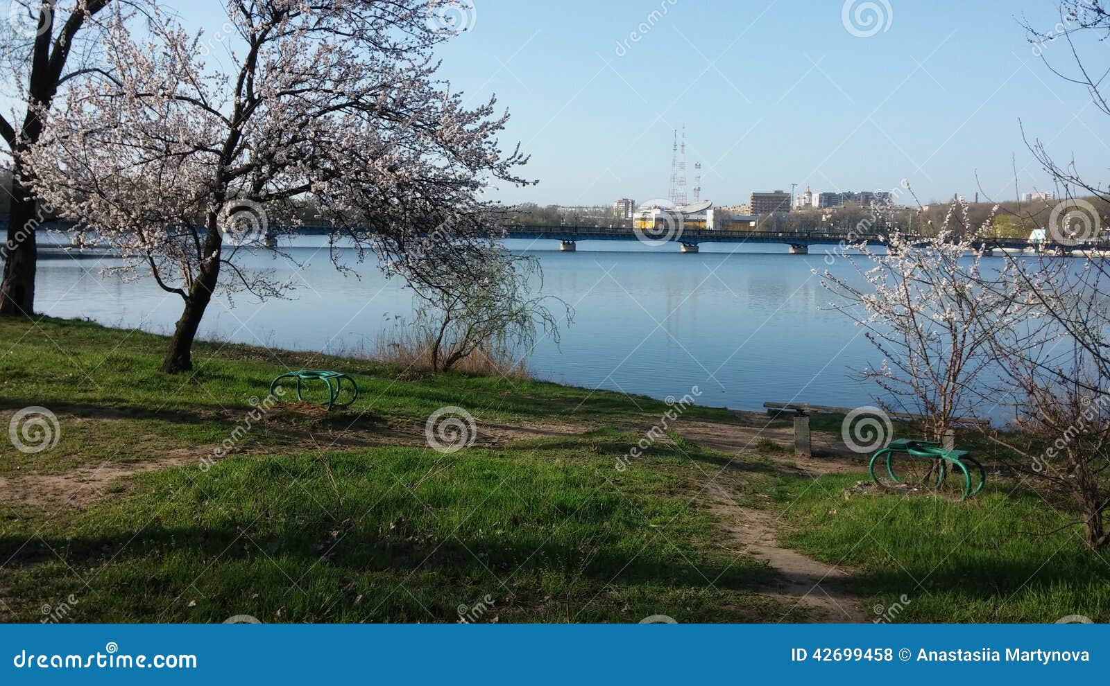 Мост над рекой стоковое фото. изображение насчитывающей цветок - 42699458