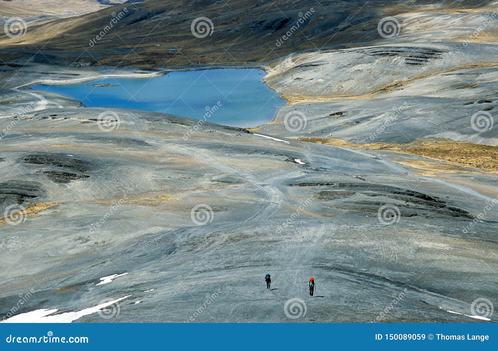 На следе Inca Choro прочь - Trekking в Боливии. Руководства следа 55km от 4900 метров до 1000 метров в Yungas Во время 3900 метров спуск пересекает этапы следа различные растительностей и ландшафтов Именно поэтому след очень интересен и популярен также