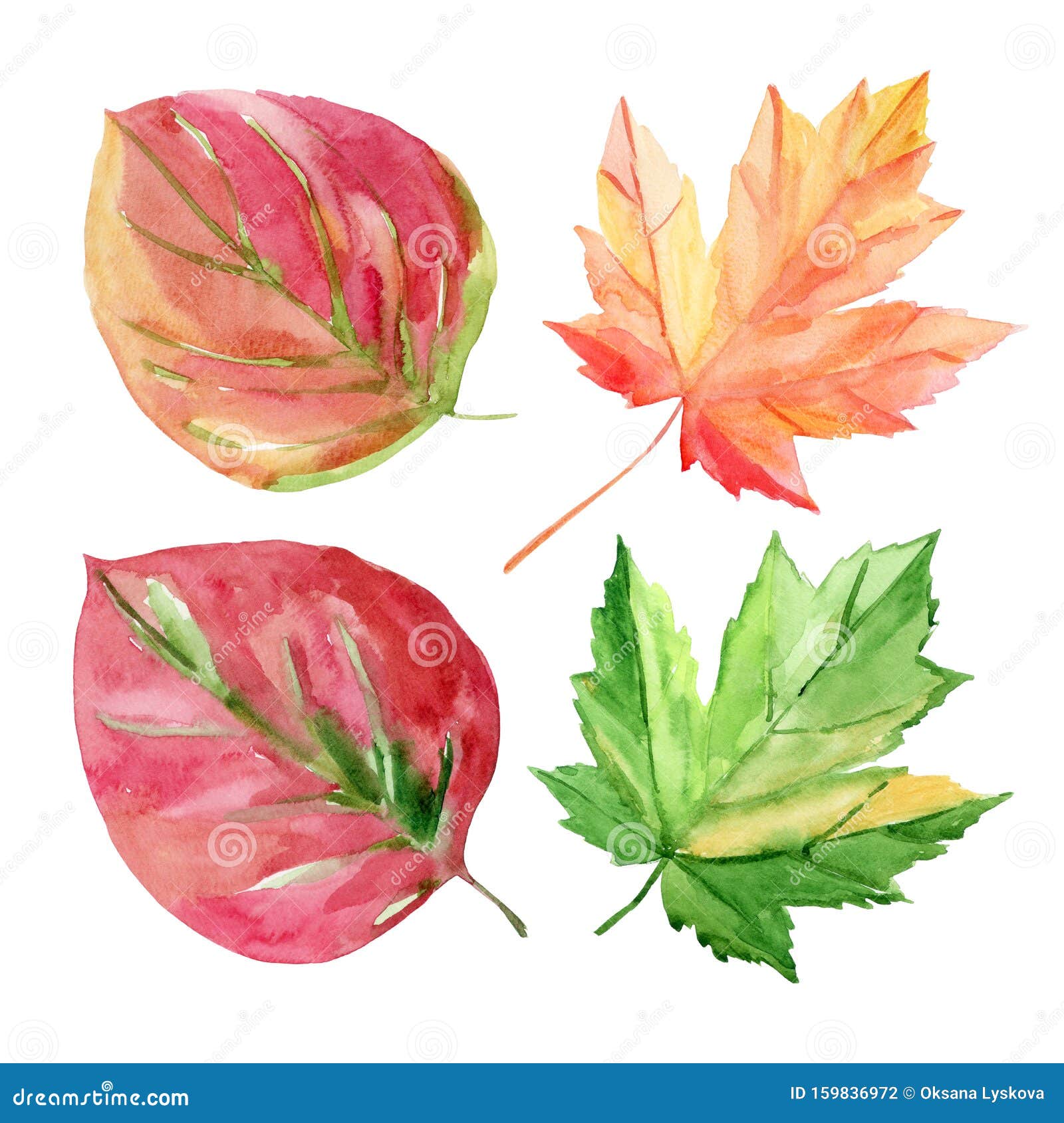 Набор осенних листьев Красные, желтые, зеленые листья Иллюстрация цвета воды на белом фоне