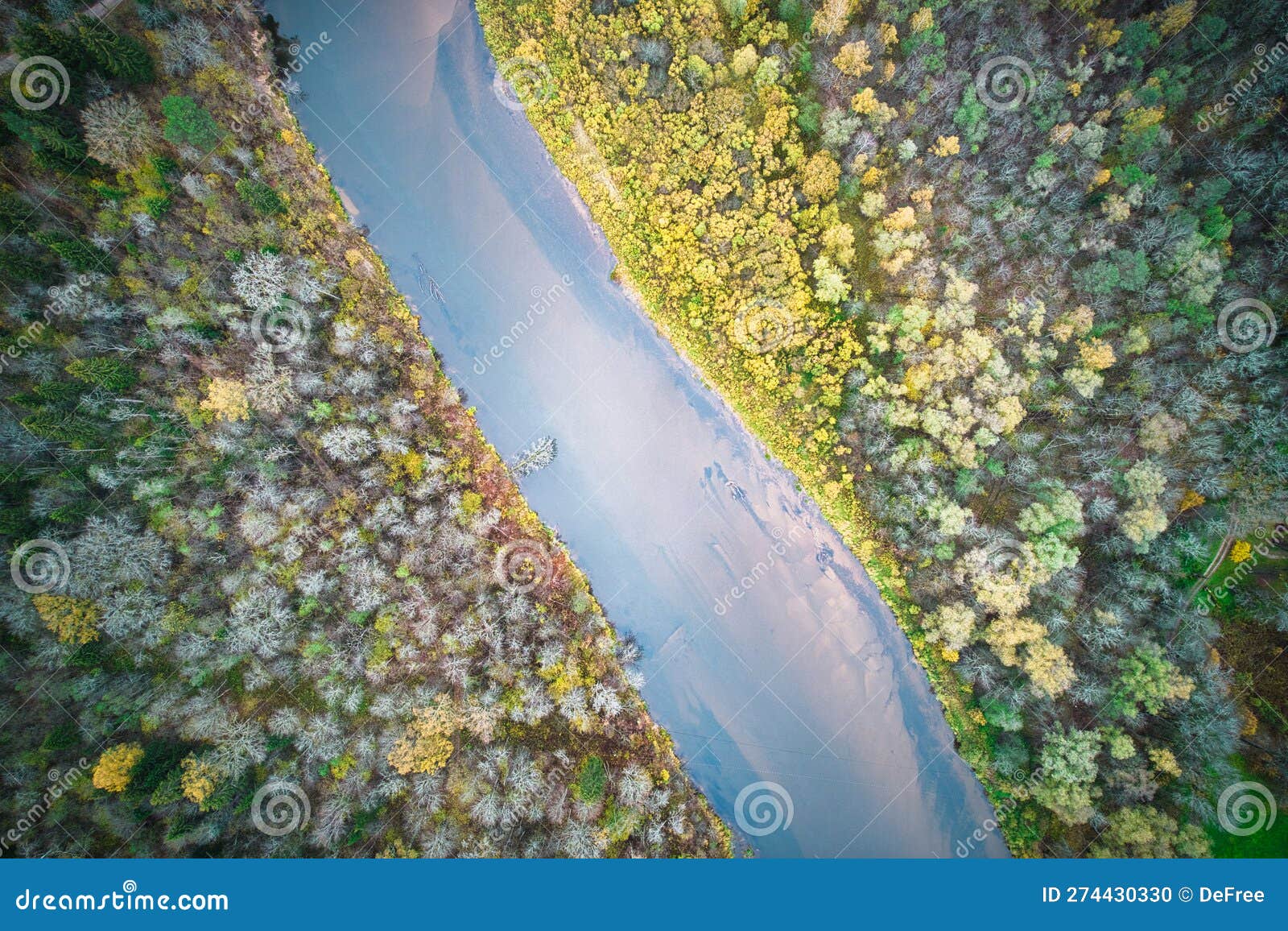 над аэрофотосъемкой зеленых сосновых лесов и желтых лиственных рощ с ...