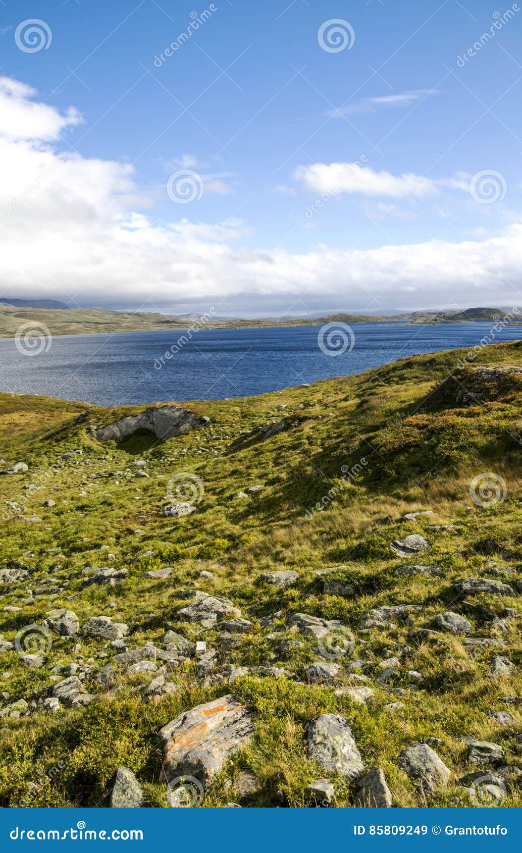 Озеро Норвегии. Озеро окруженное горами в южной Норвегии на пасмурный день Вертикальное изображение