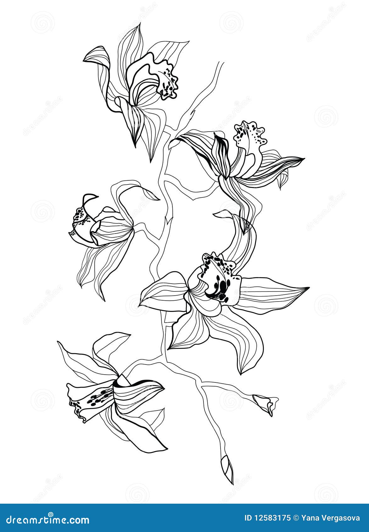 Орхидея стилизация Графика
