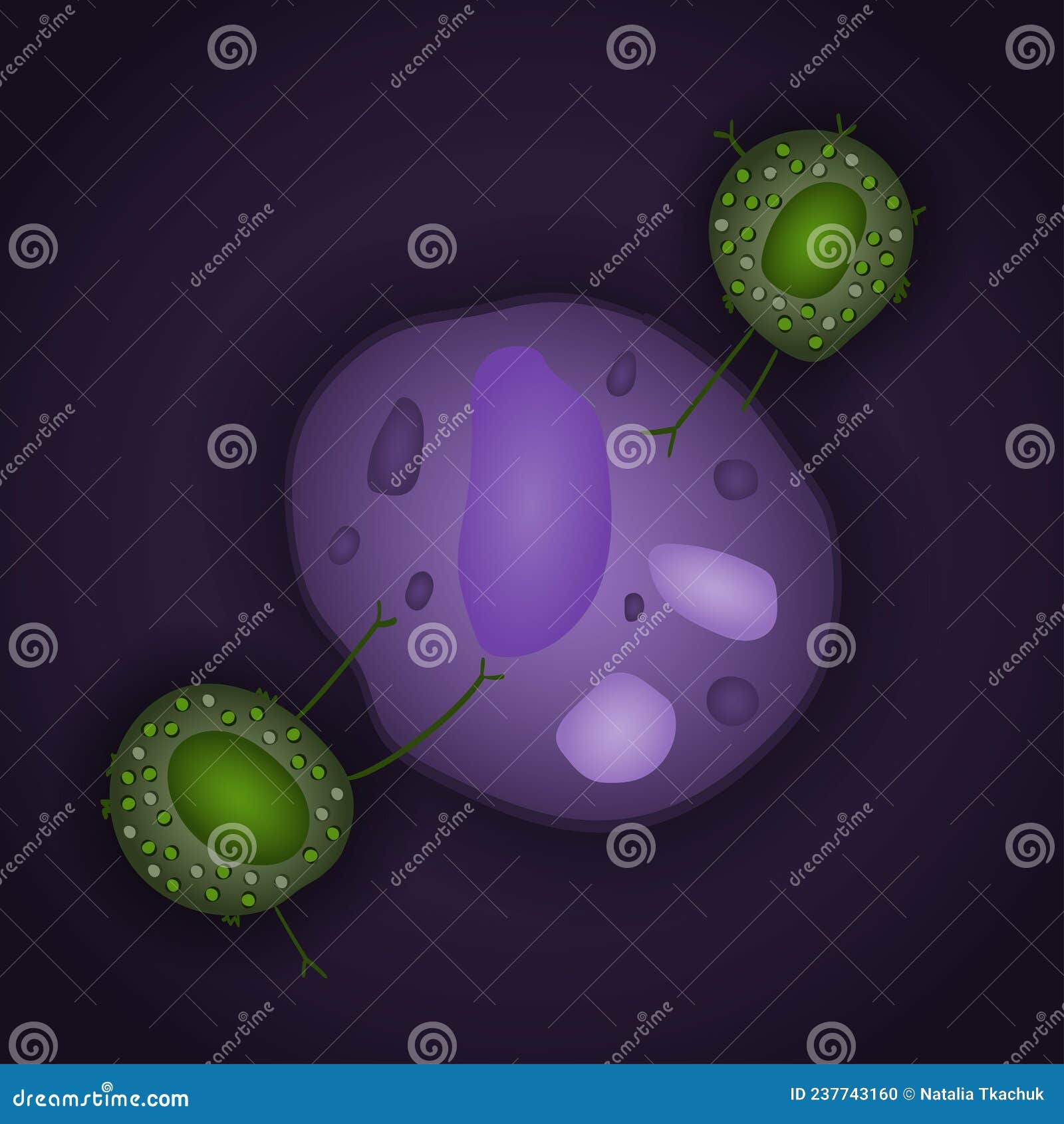 Innate Immune System Natural Killer Cells with Pathogen, Vector
