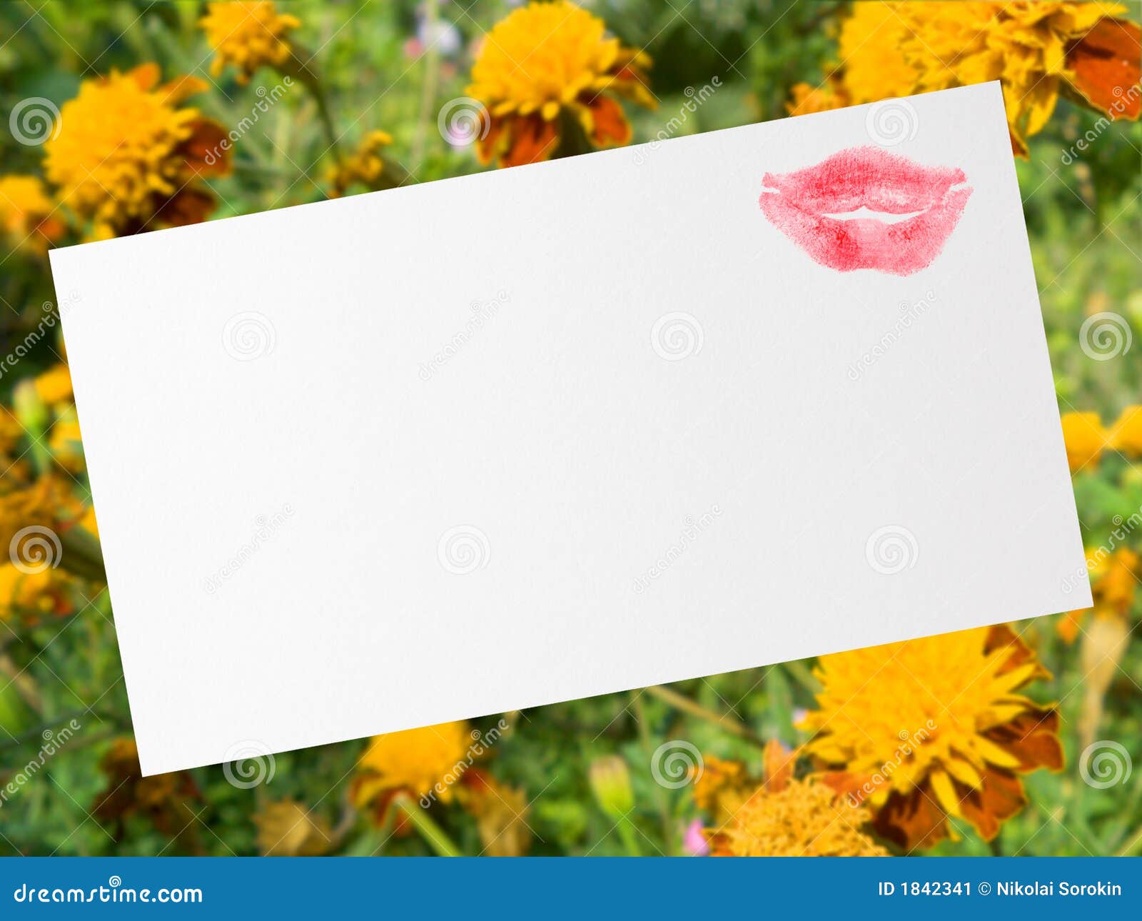 открытка поцелуя. текстура открытки бумаги поцелуя цветков предпосылки