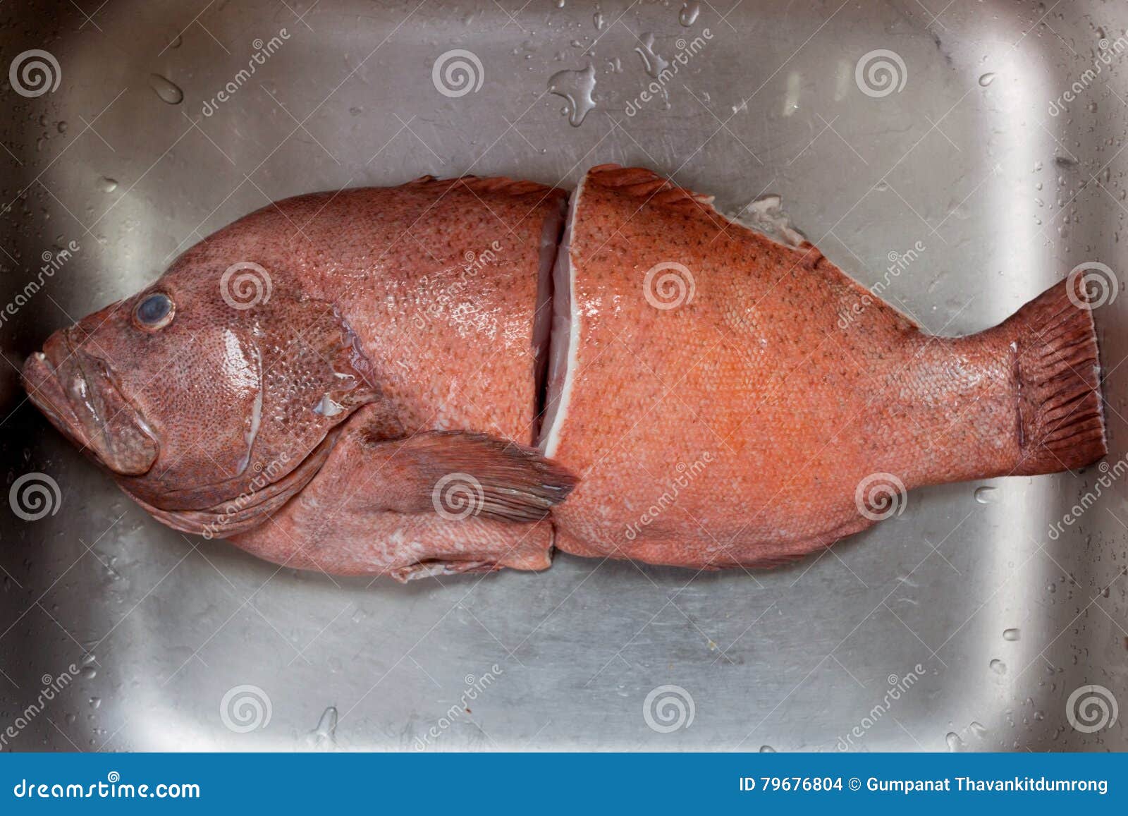 Жирный морской окунь