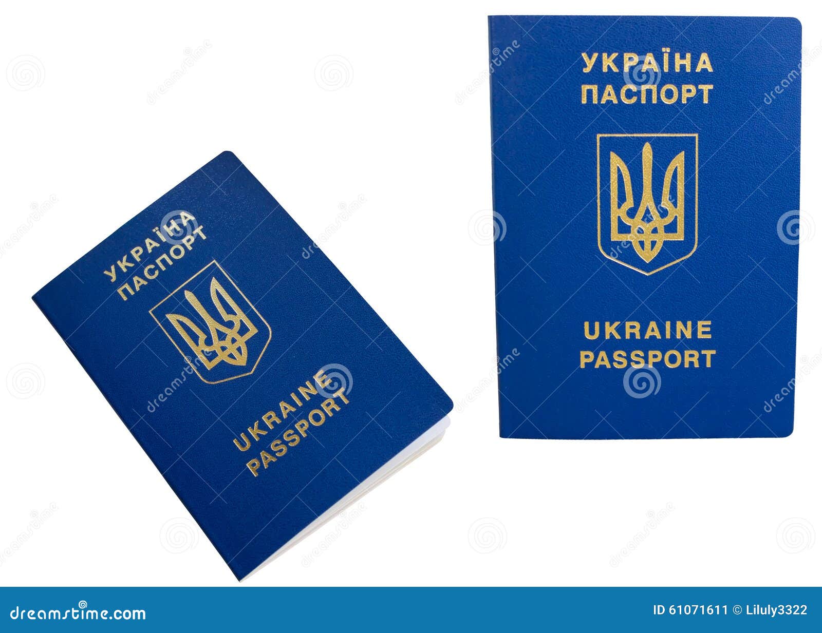 Национальный заграничный паспорт Украины