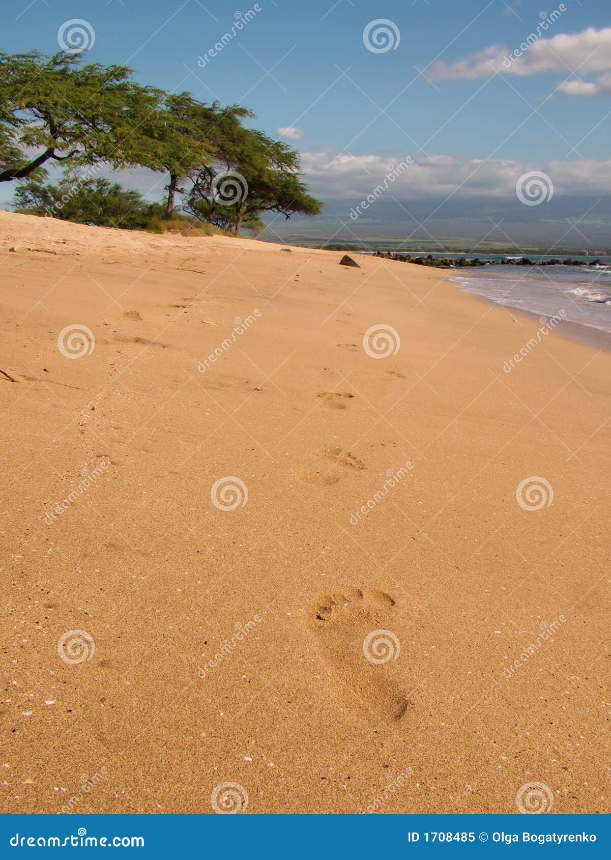 песок следов ноги. желтый цвет взгляда песка oceanshore следов ноги пляжа