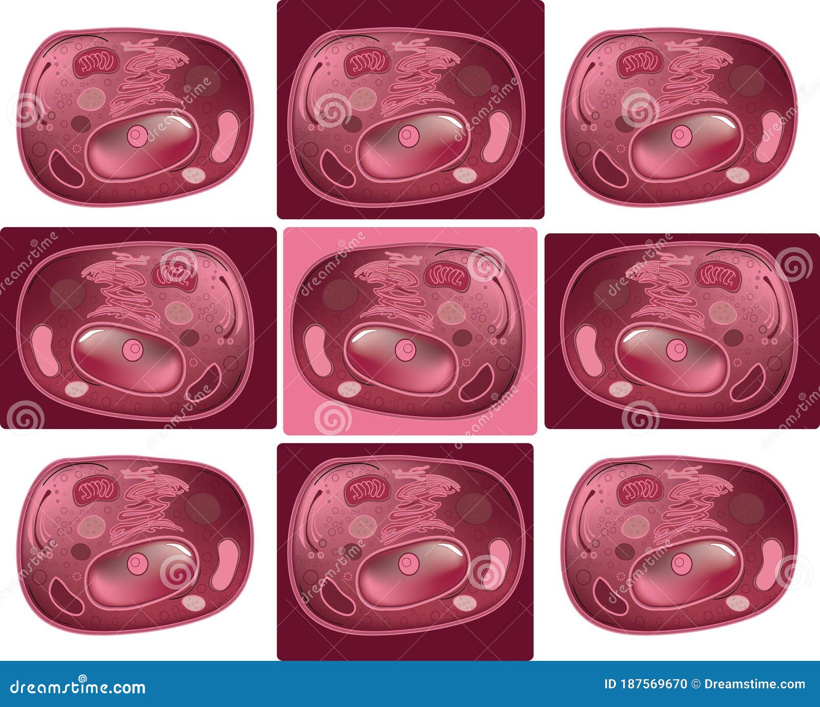 System of Living Cells Human or Animal Body. Biology. Cytology Stock