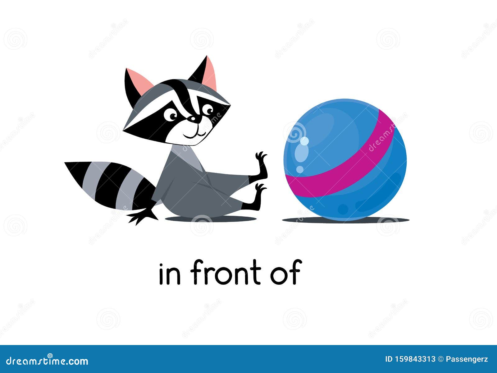 Предположение места Енот перед мячем Иллюстрация вектора - иллюстрации ...
