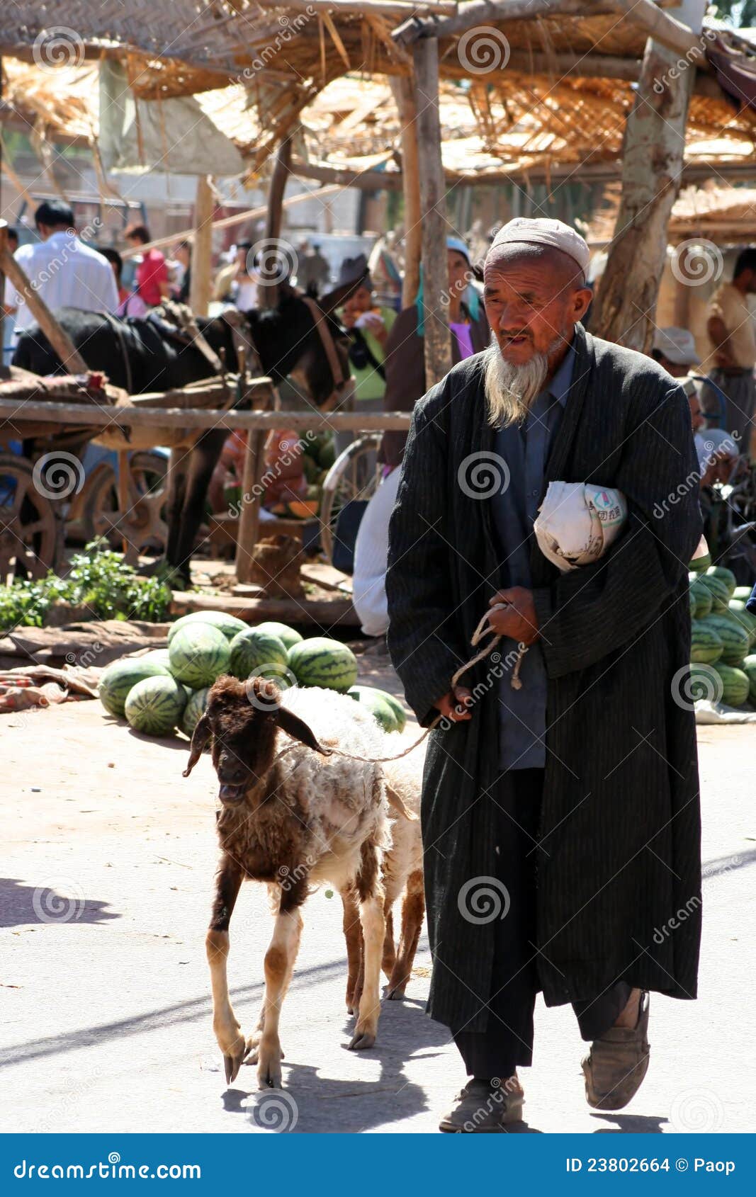 принимать сбывания козочки. козочка его kashgar сбывание рынка человека принимая uigur