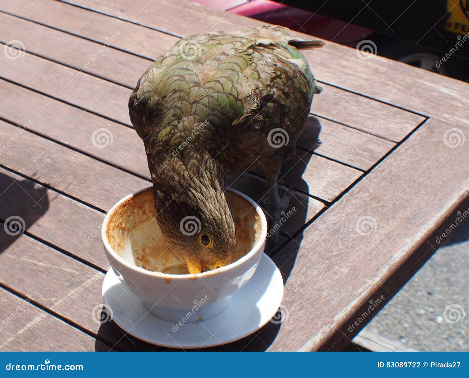 птицы на кофе