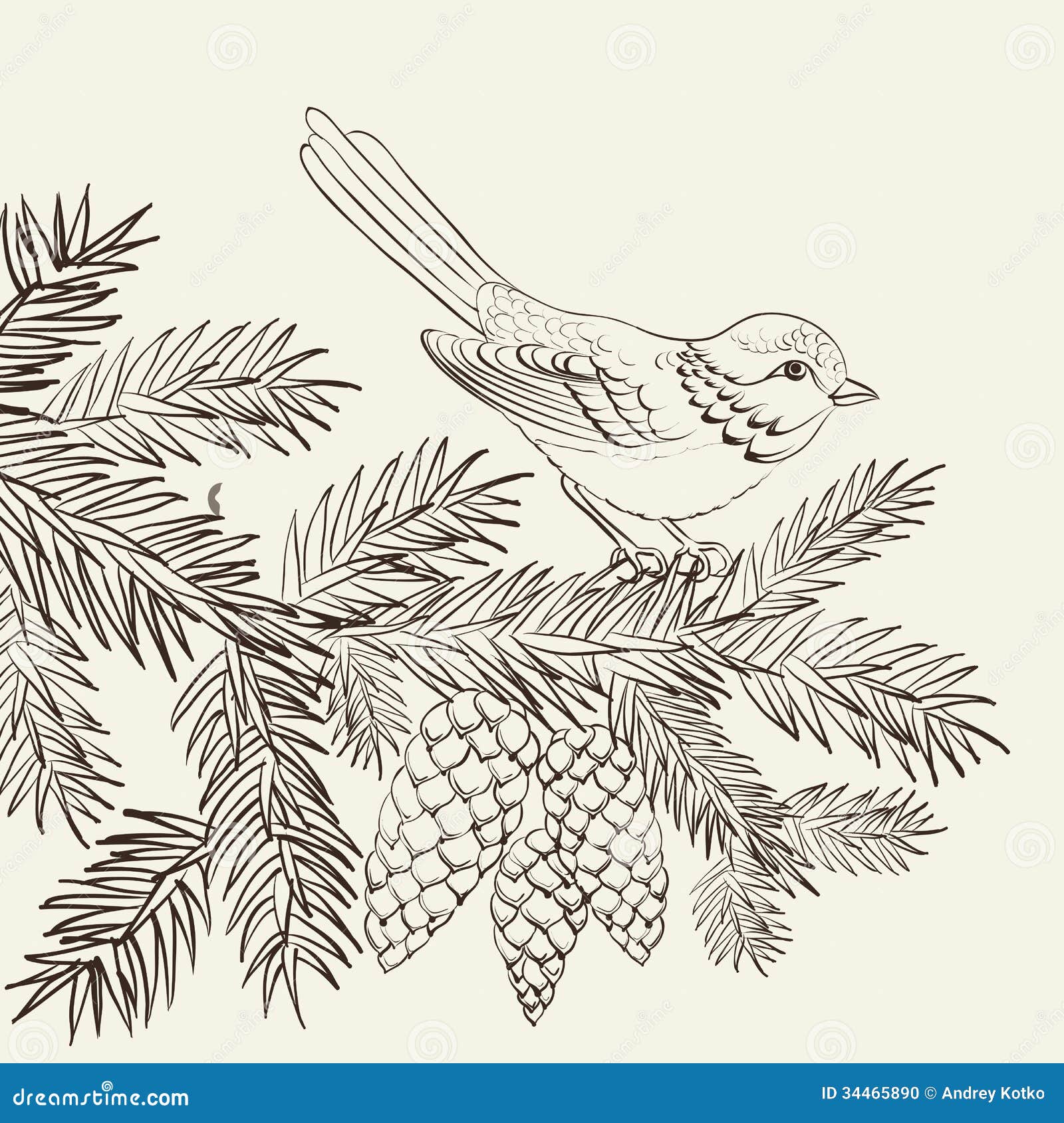 Раскраска Еловая ветка с птицами